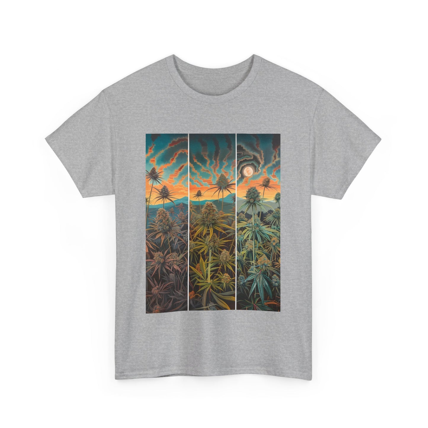 Field Series 10 - Image on Front