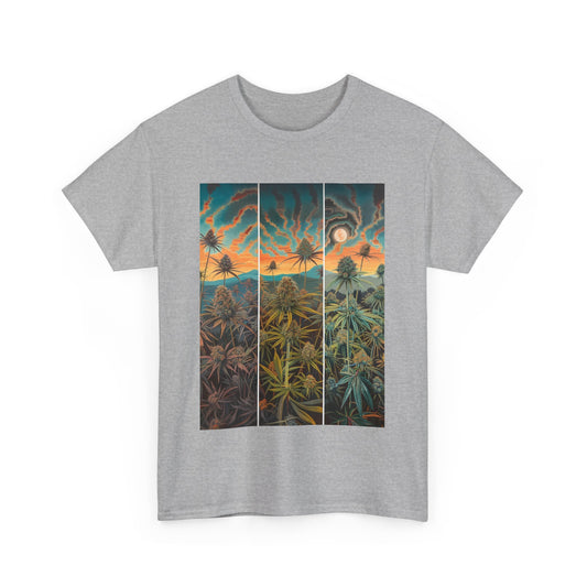 Field Series 10 - Image on Front