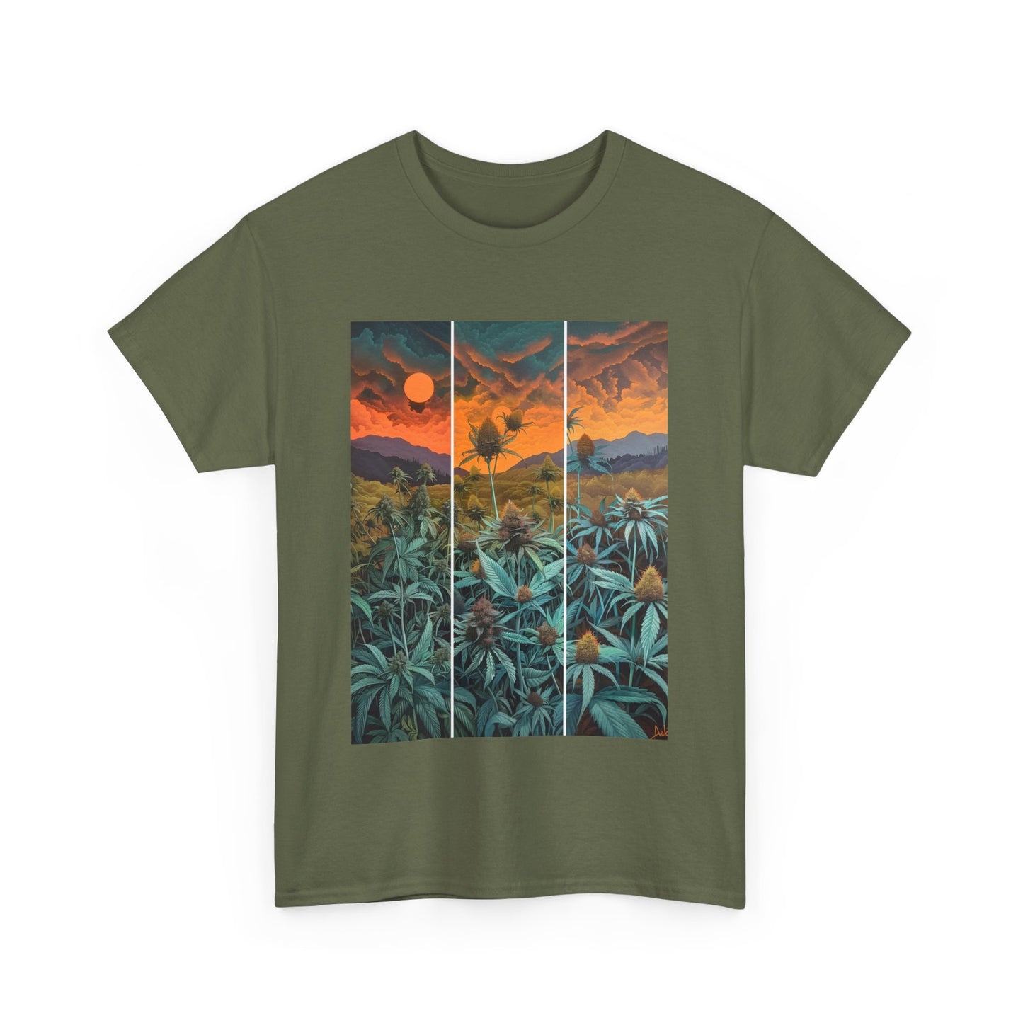 Field Series 11 - Image on Front
