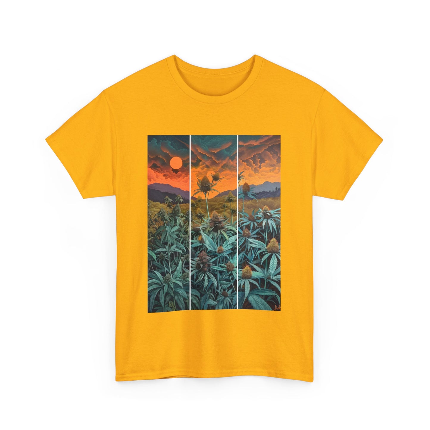 Field Series 11 - Image on Front