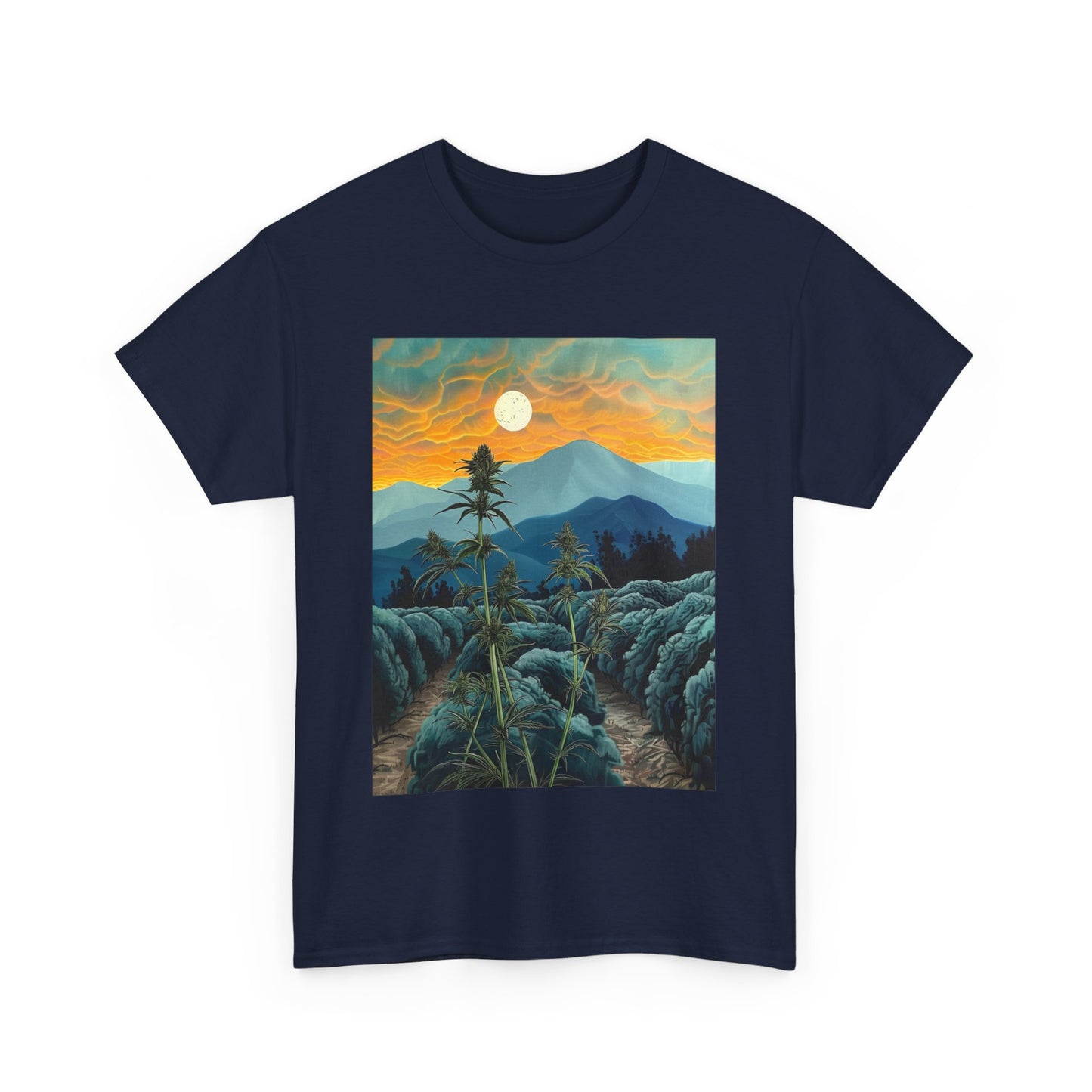 Field Series 09 - Image on Front