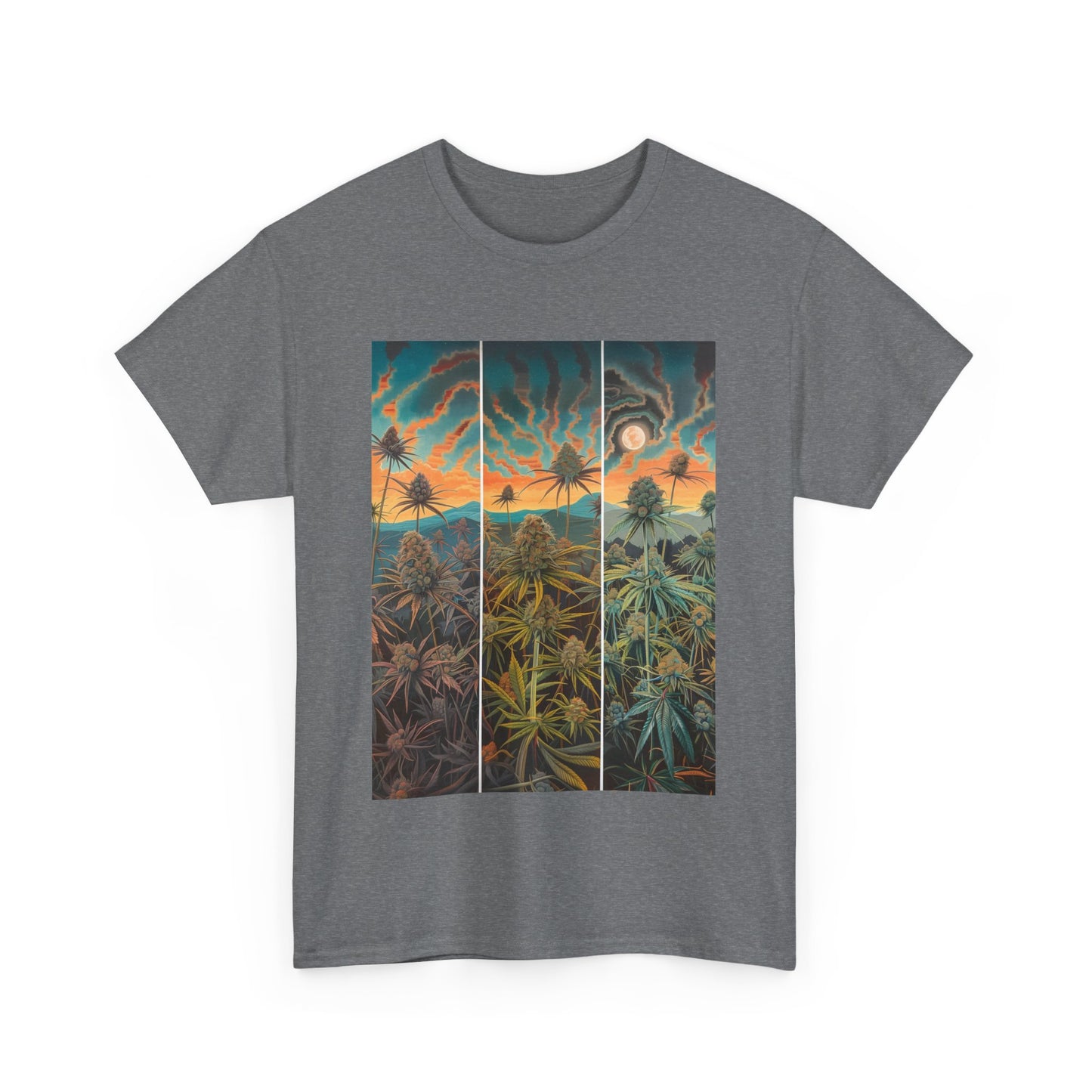 Field Series 10 - Image on Front