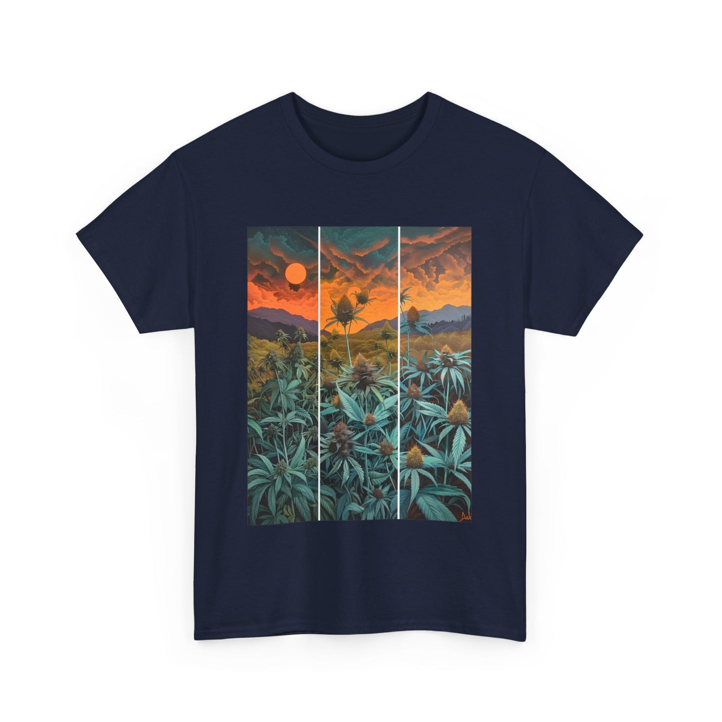 Field Series 11 - Image on Front
