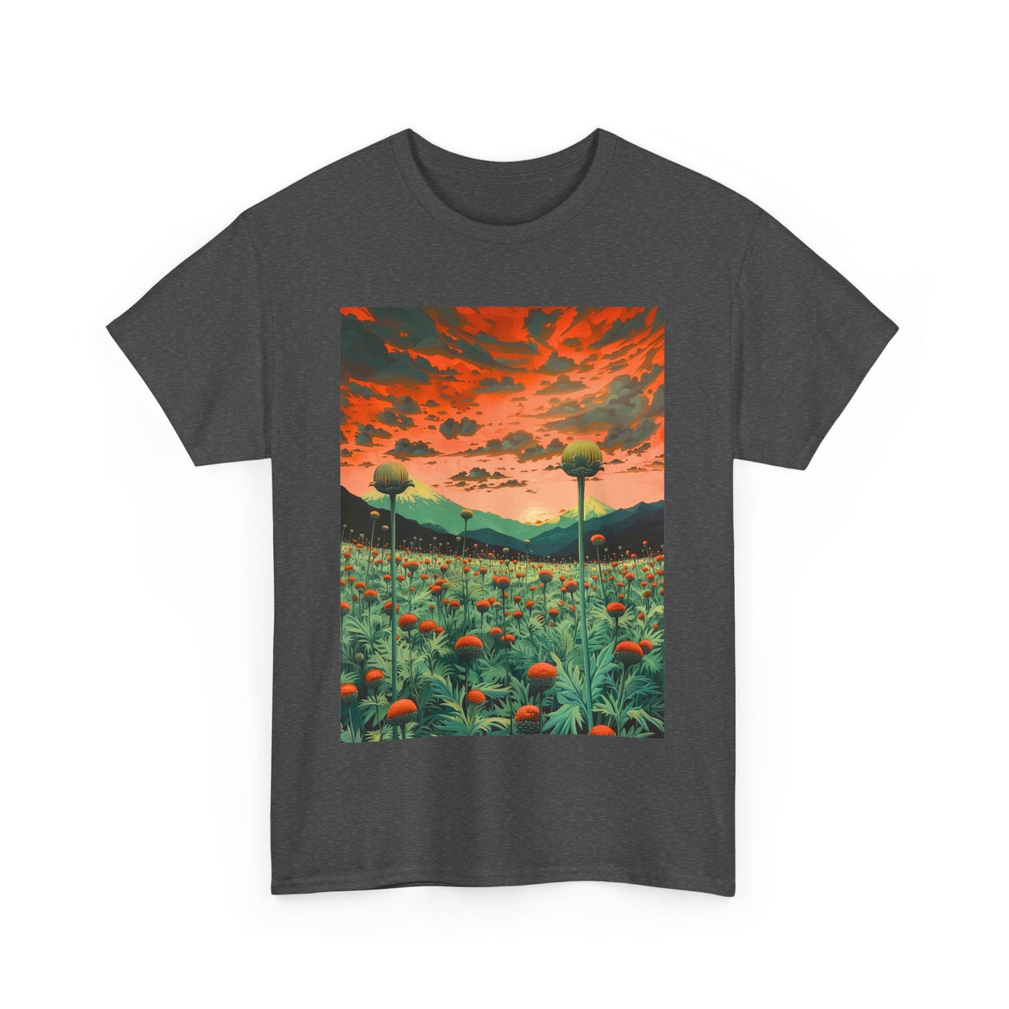 Field Series 01 - Image on Front