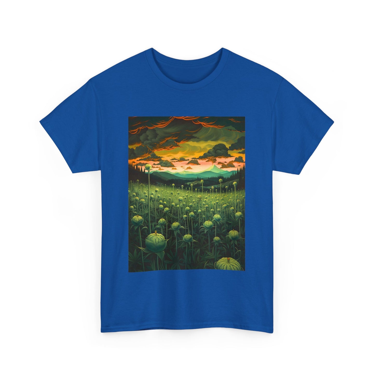 Field Series 07 - Image on Front