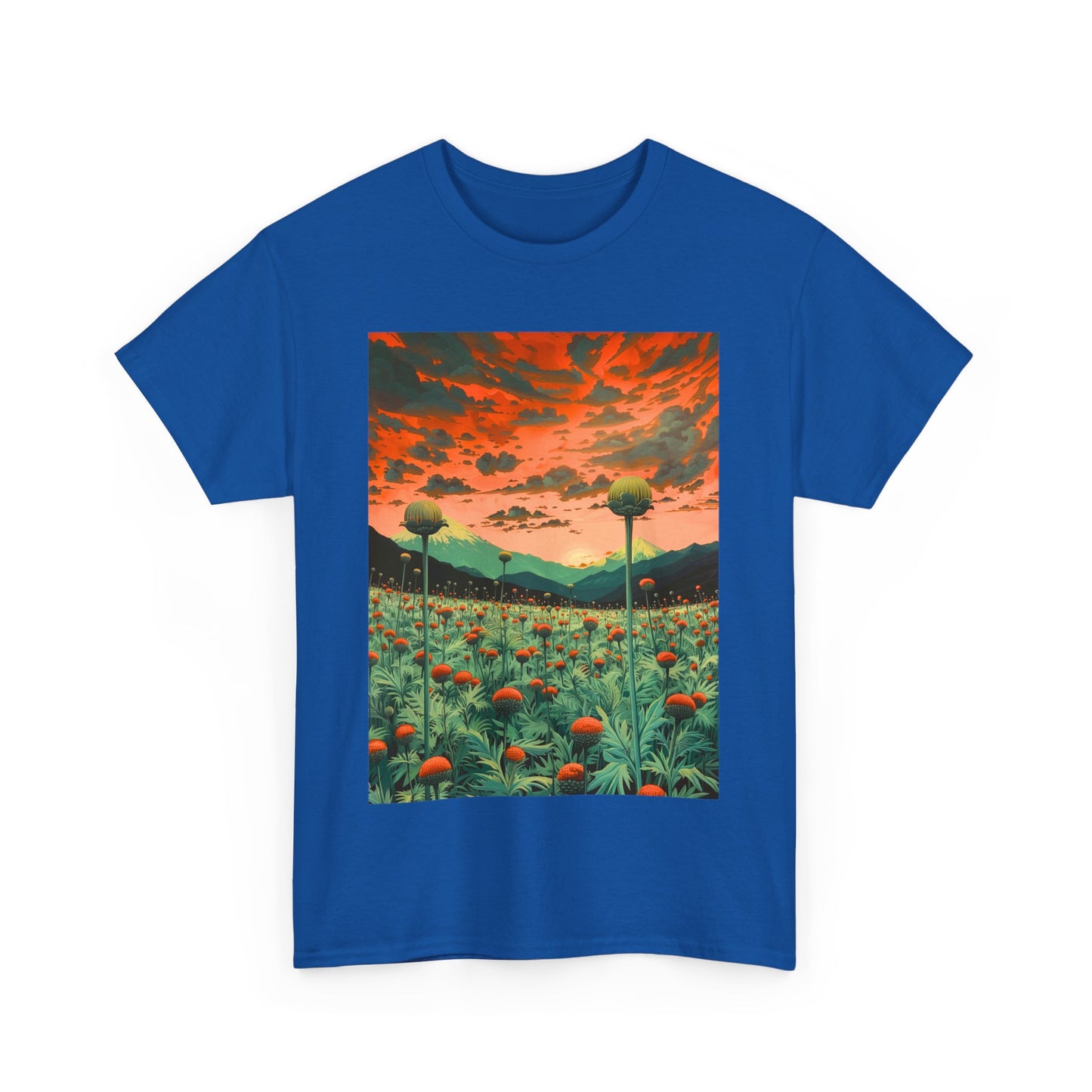 Field Series 01 - Image on Front