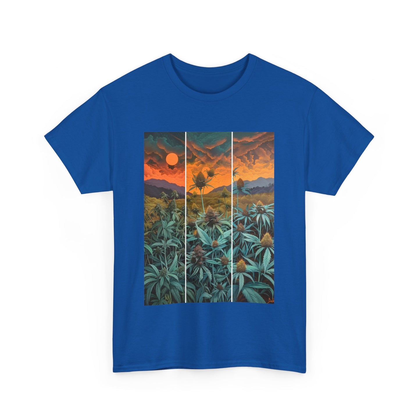 Field Series 11 - Image on Front