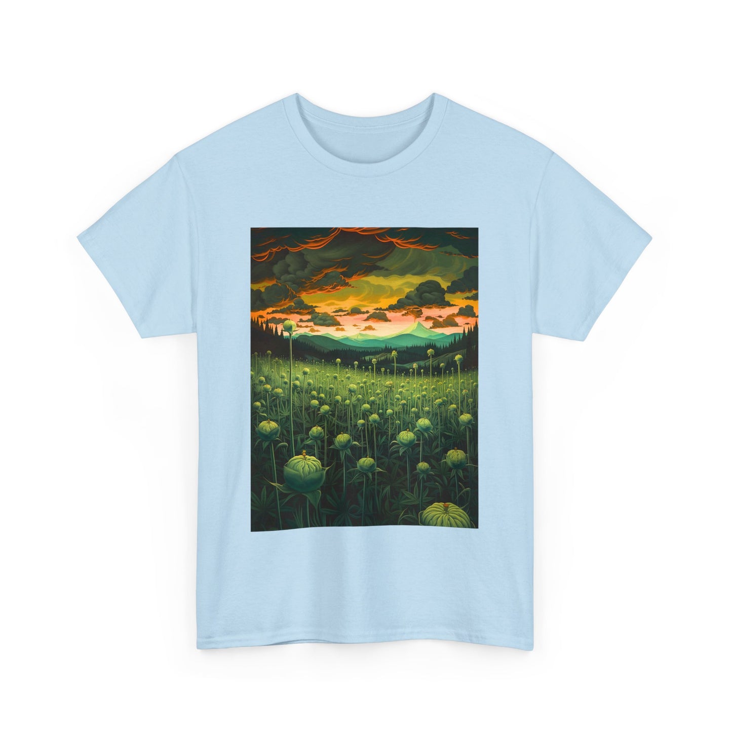 Field Series 07 - Image on Front