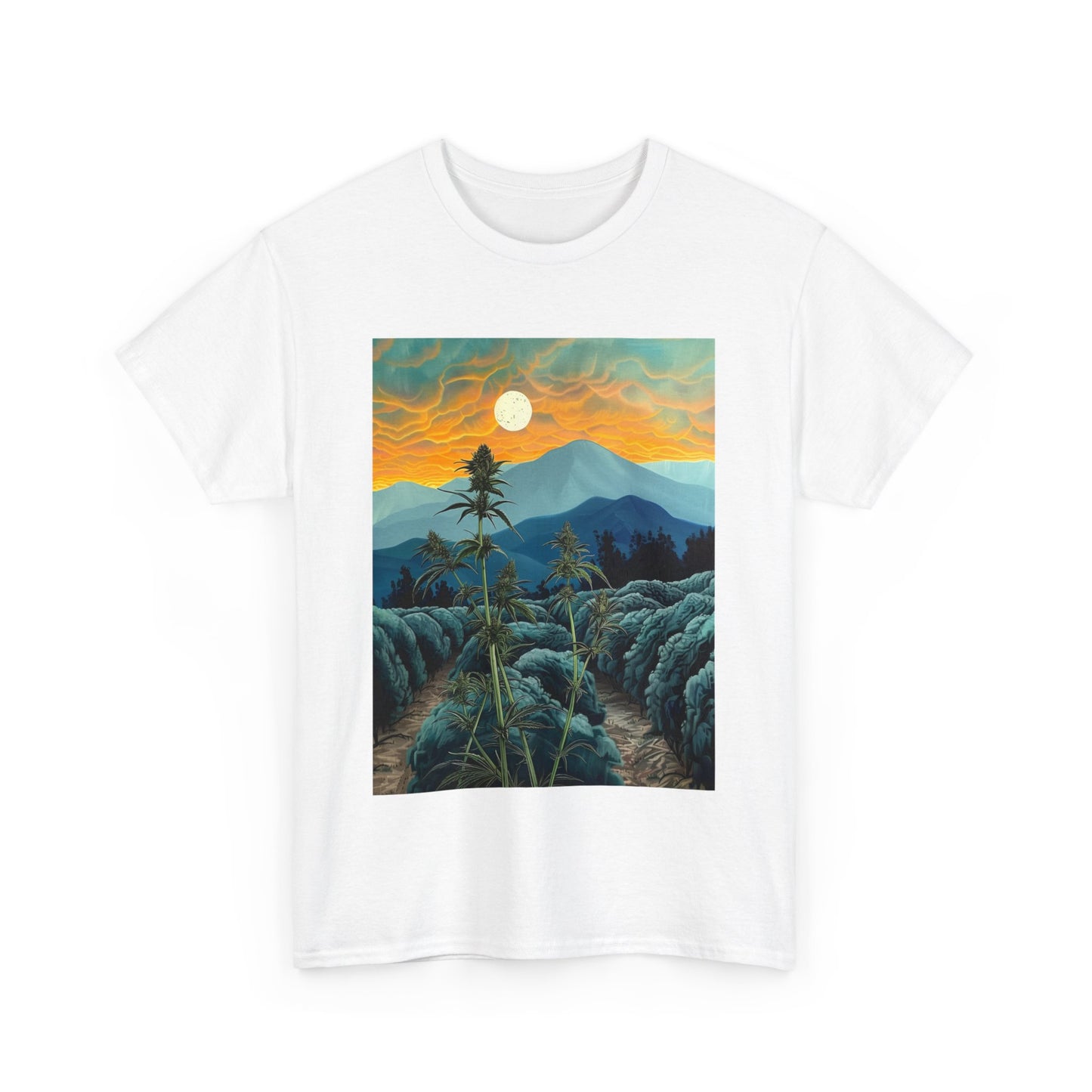 Field Series 09 - Image on Front