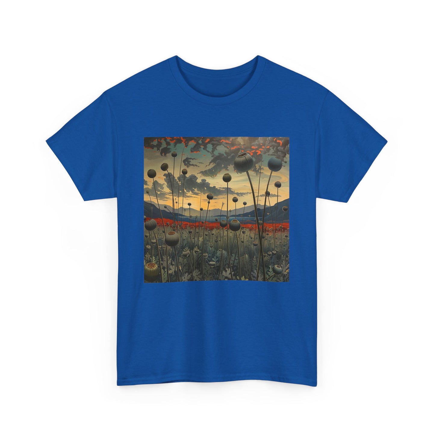 Field Series 06 - Image on Front