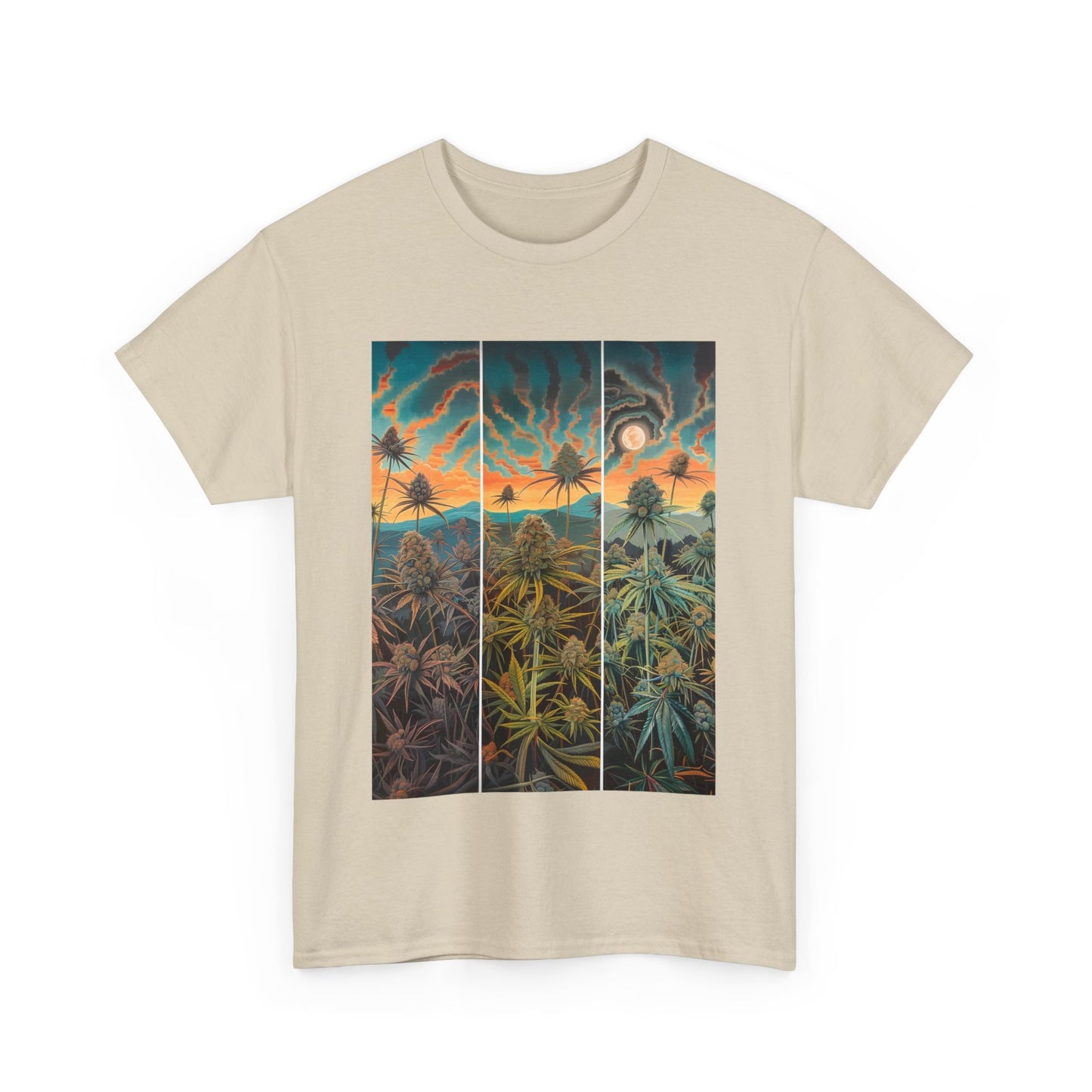 Field Series 10 - Image on Front