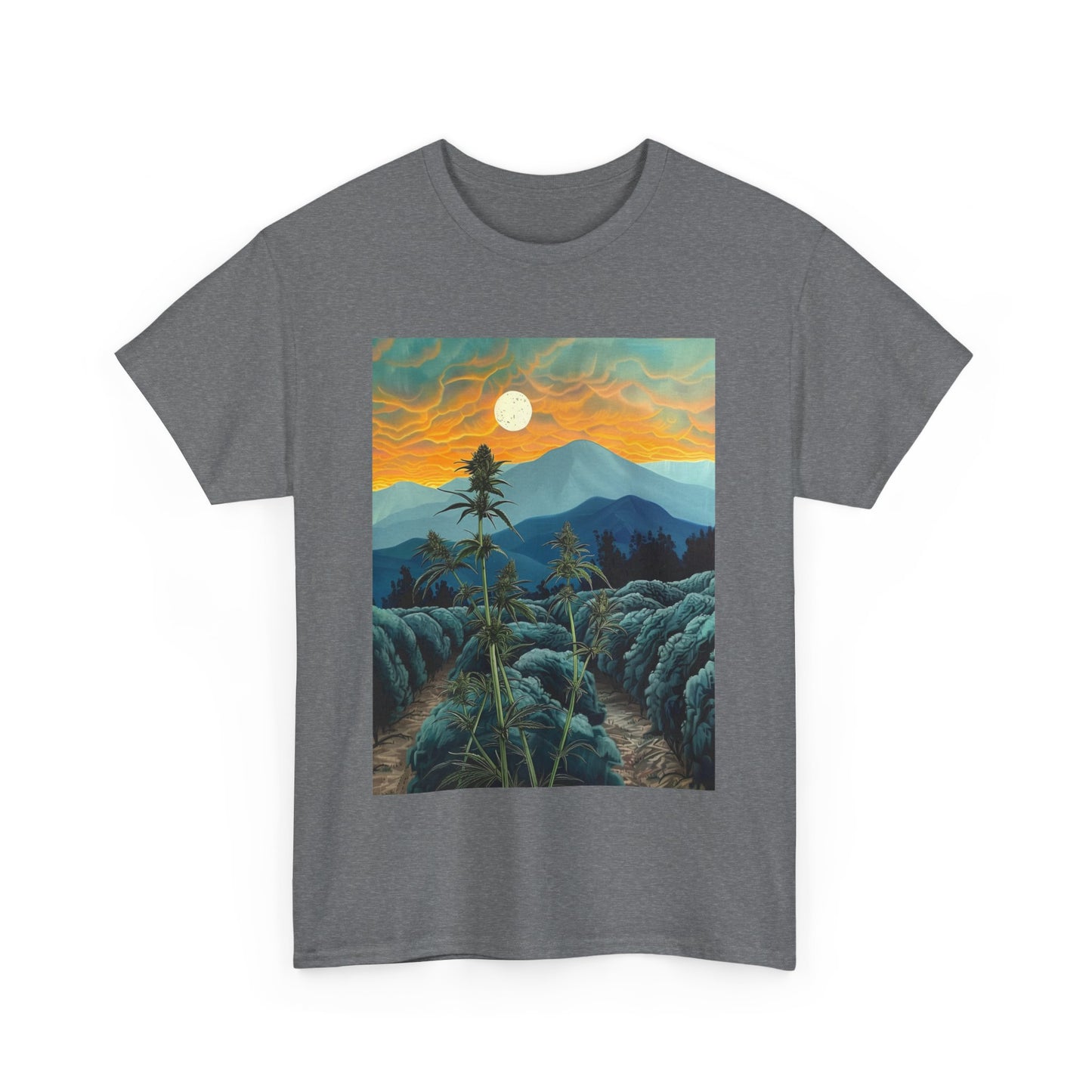 Field Series 09 - Image on Front