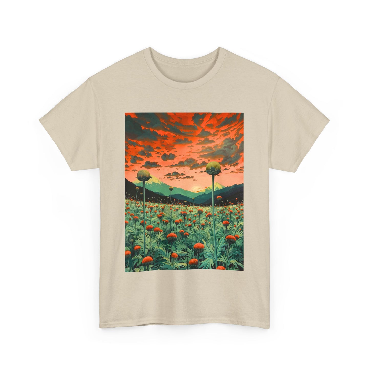 Field Series 01 - Image on Front
