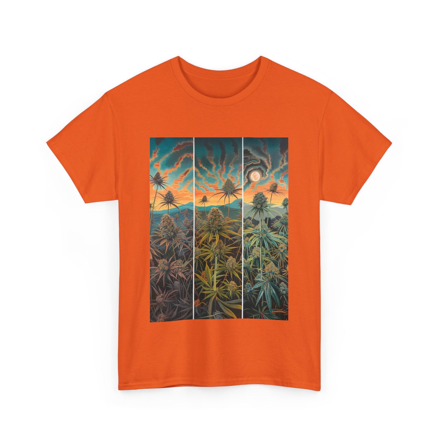 Field Series 10 - Image on Front