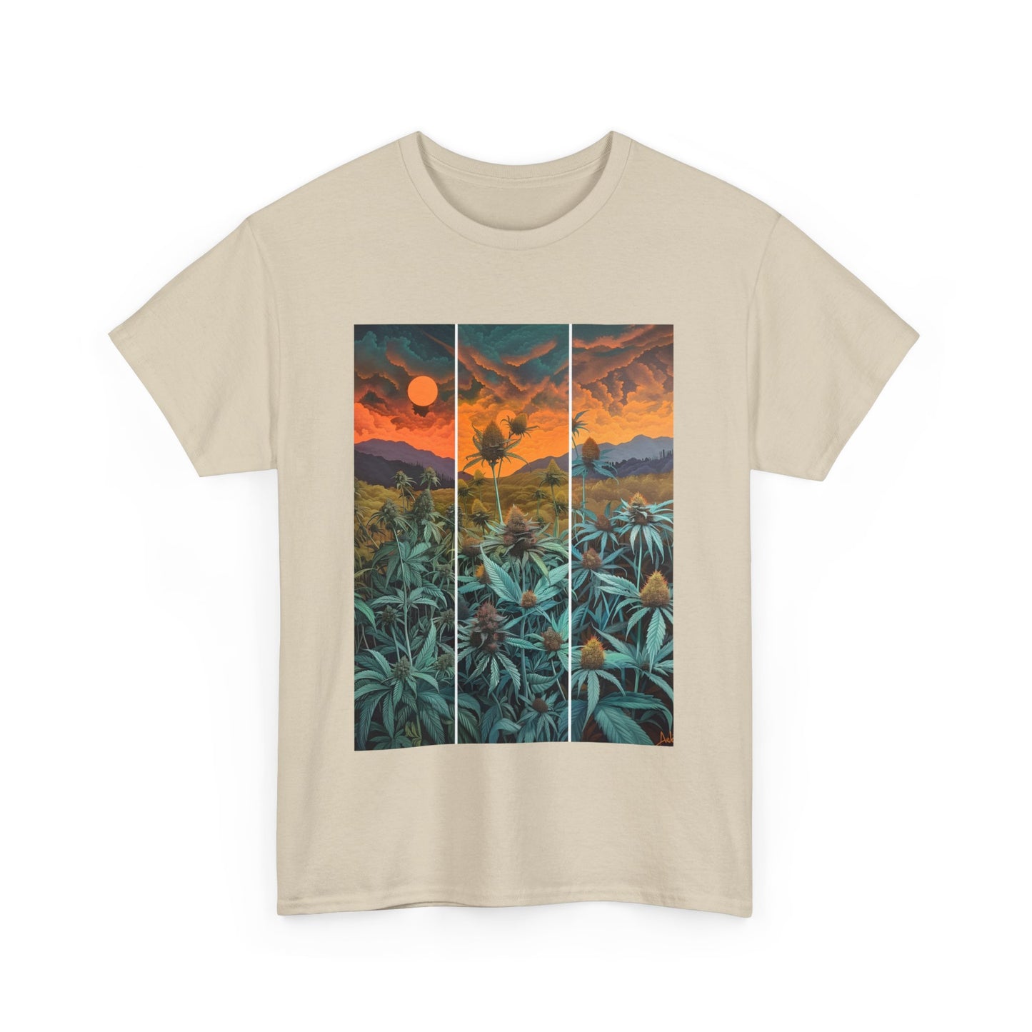 Field Series 11 - Image on Front