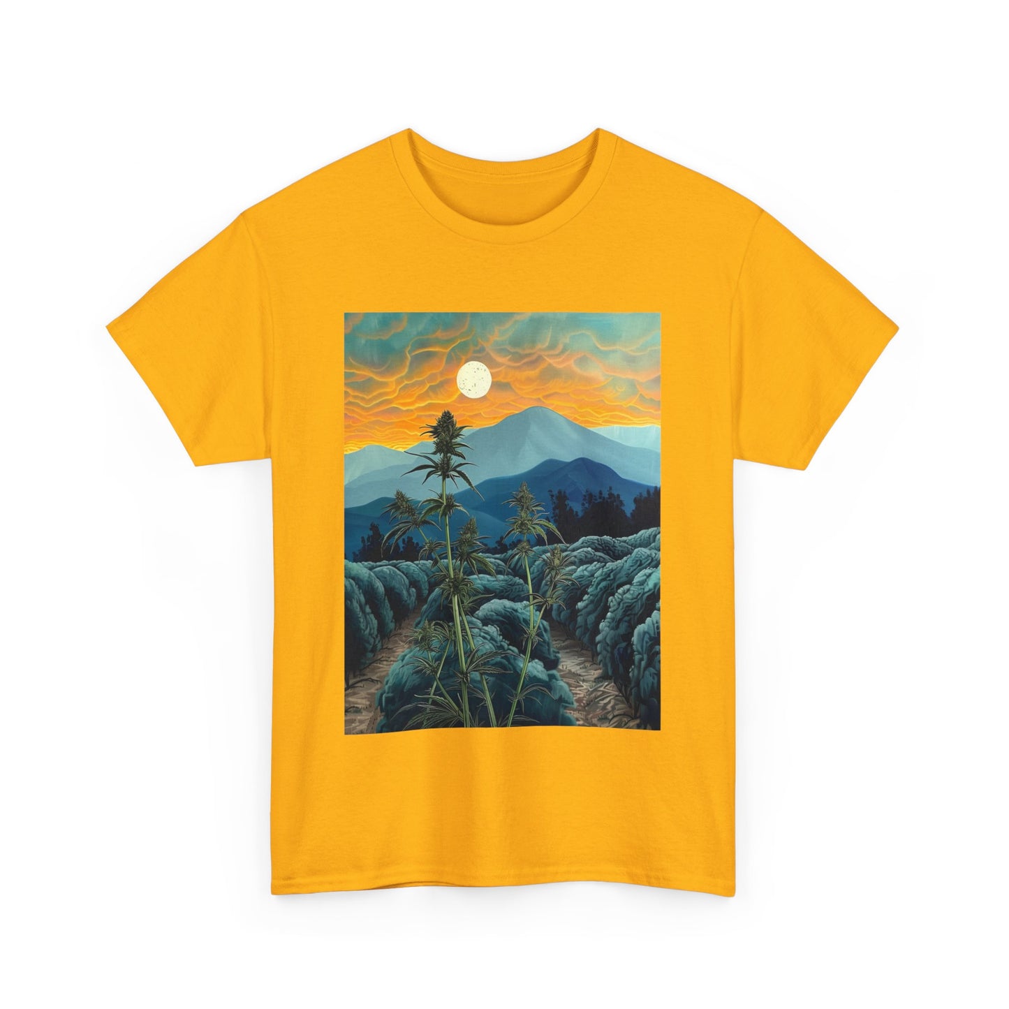 Field Series 09 - Image on Front