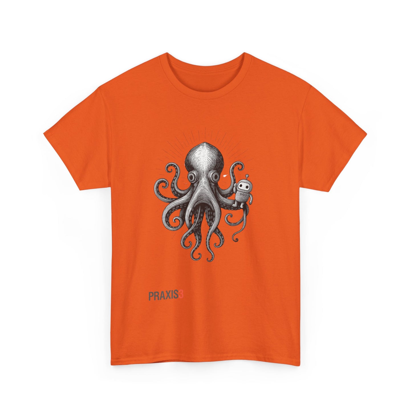P3 Big Canoe 2025 - Praxi and the octopus