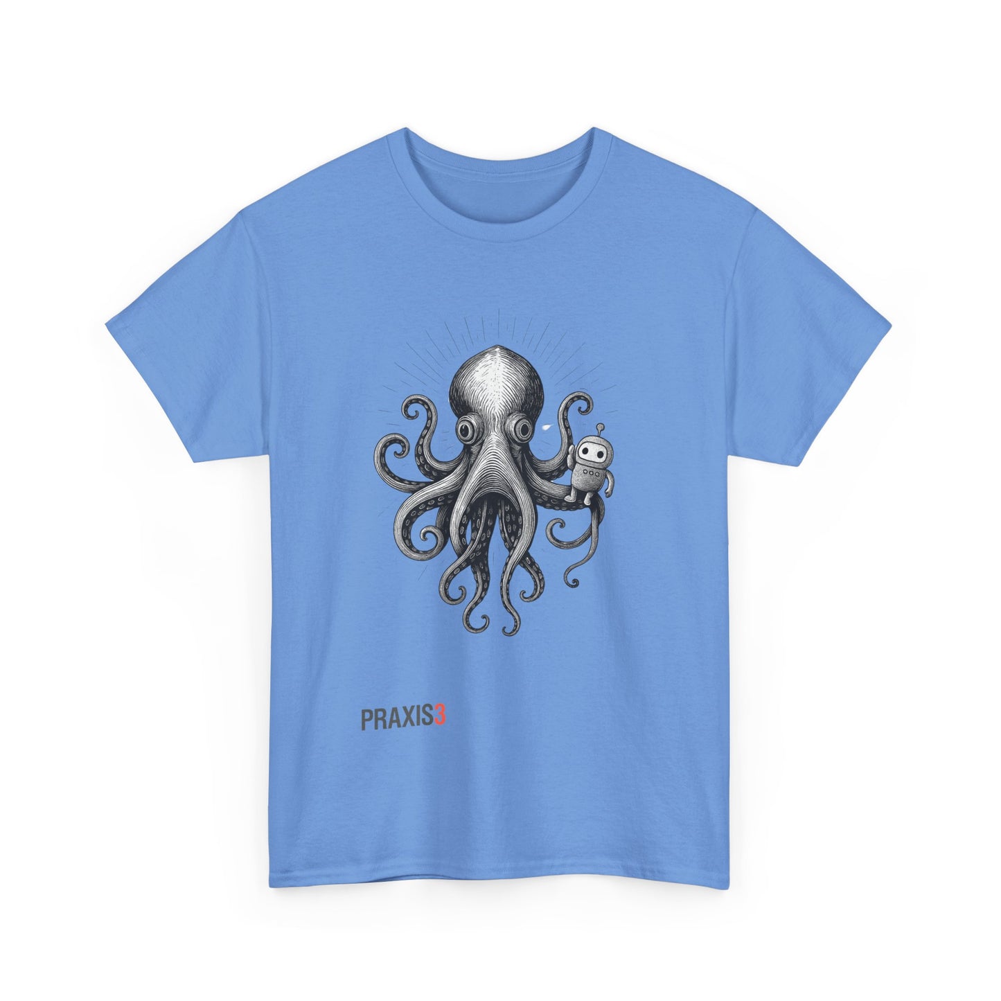 P3 Big Canoe 2025 - Praxi and the octopus