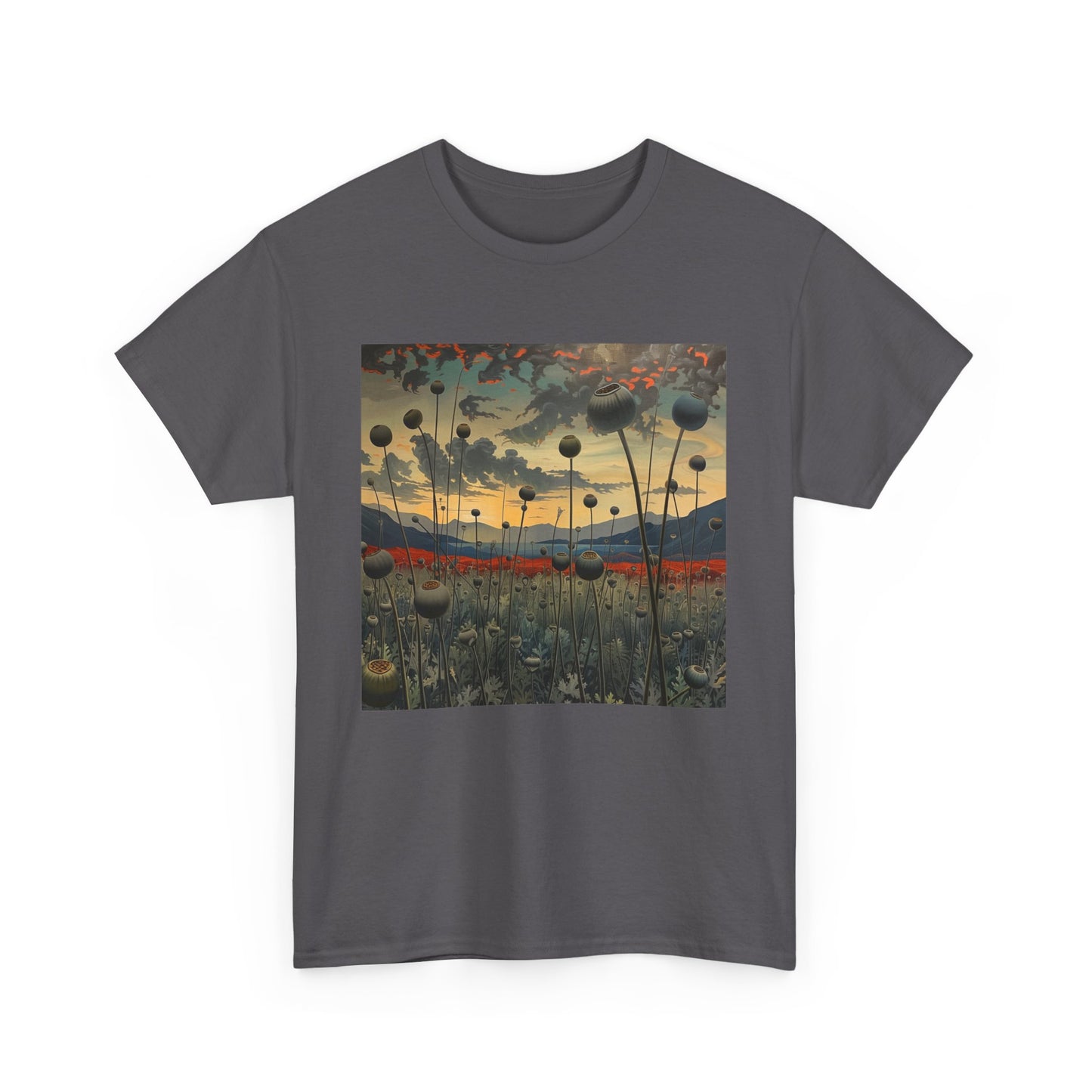 Field Series 06 - Image on Front