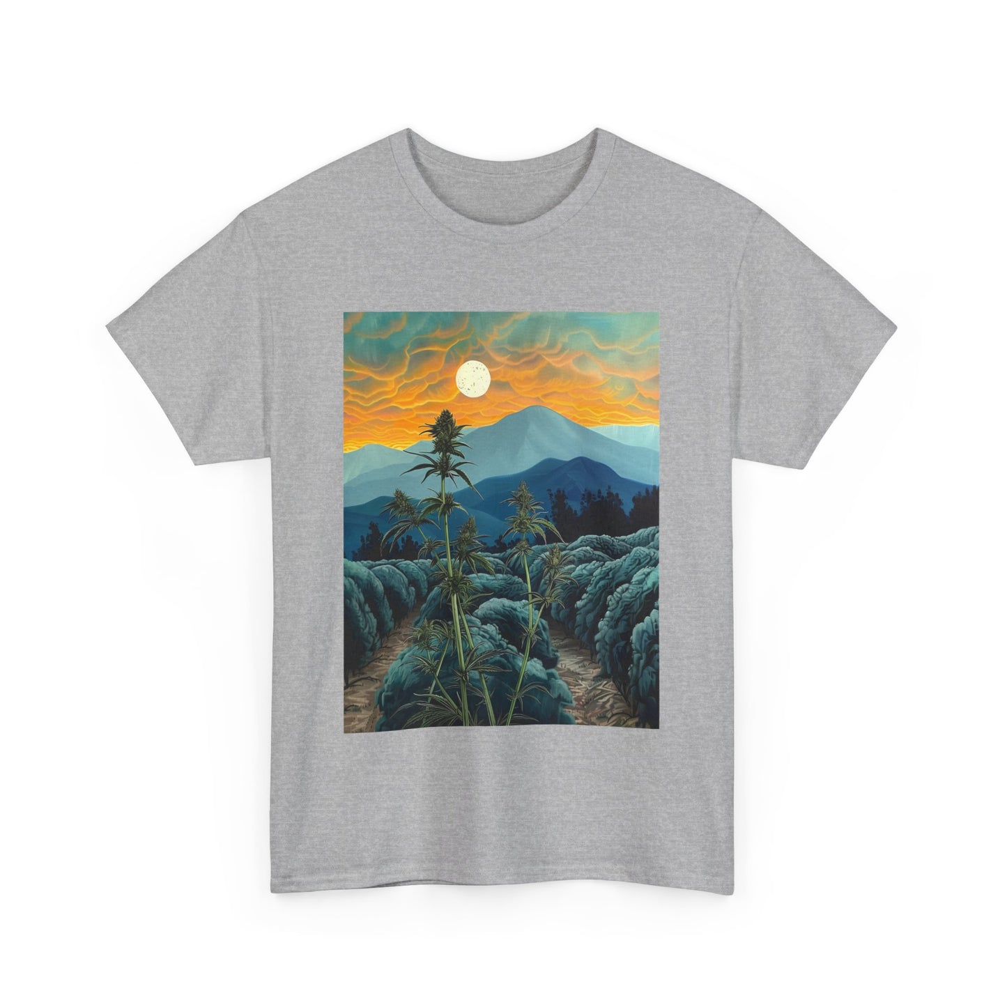 Field Series 09 - Image on Front