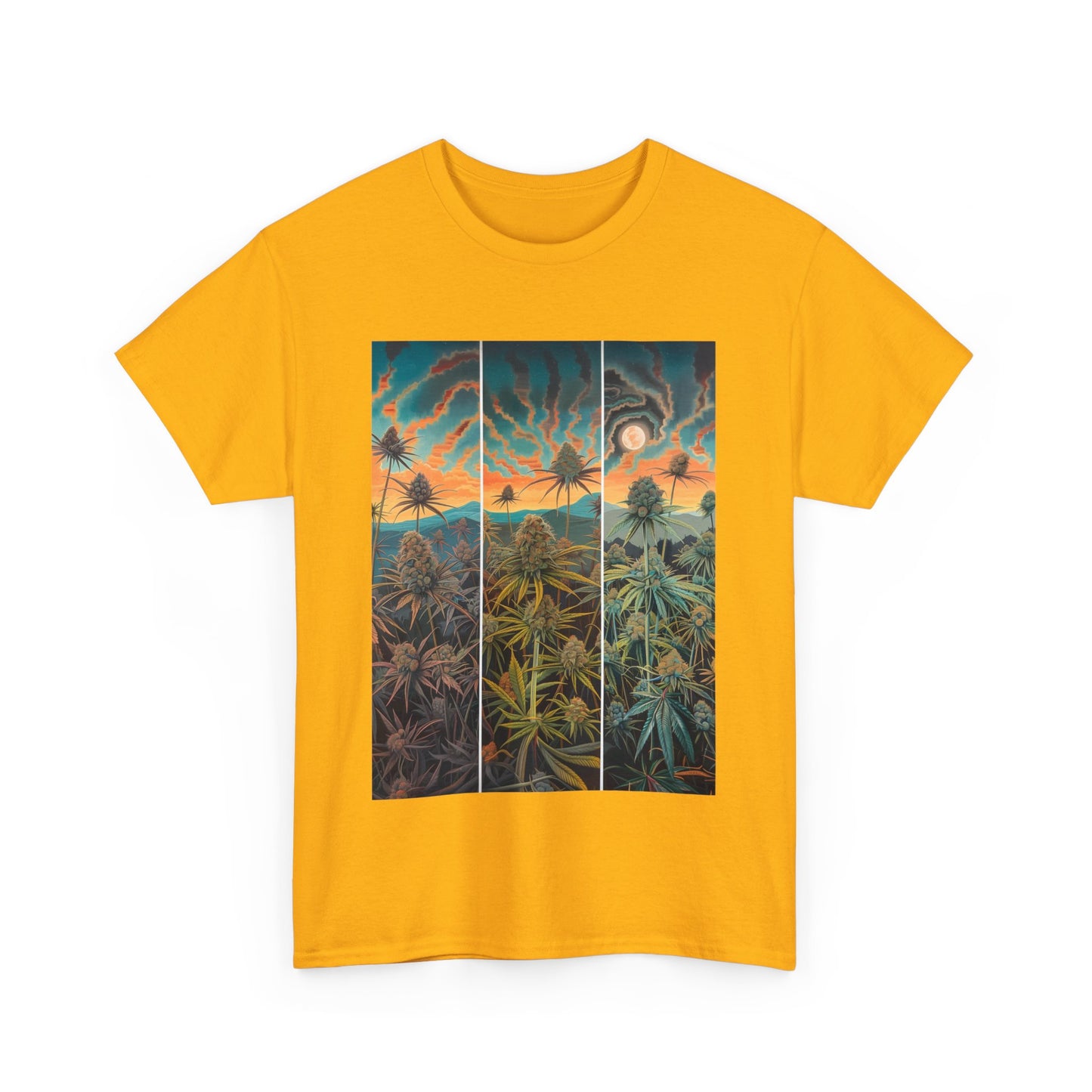 Field Series 10 - Image on Front