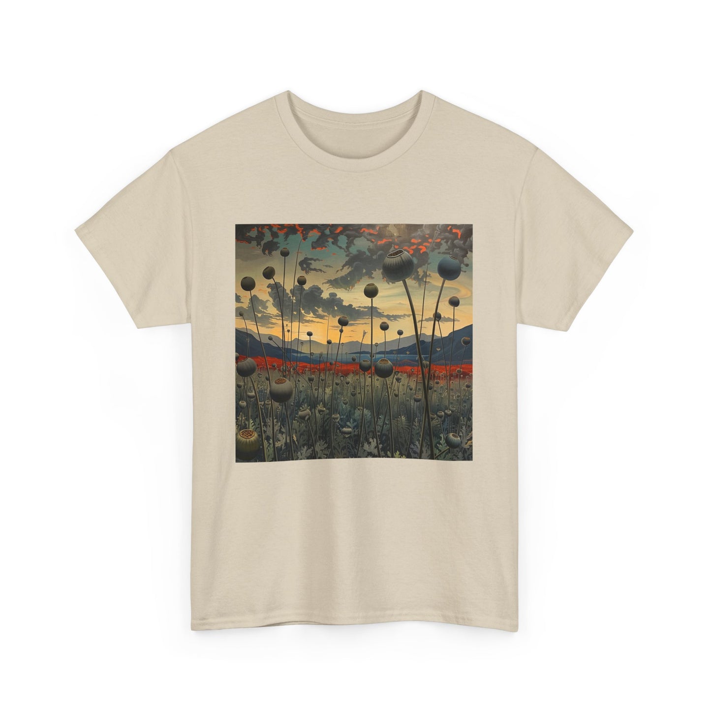 Field Series 06 - Image on Front