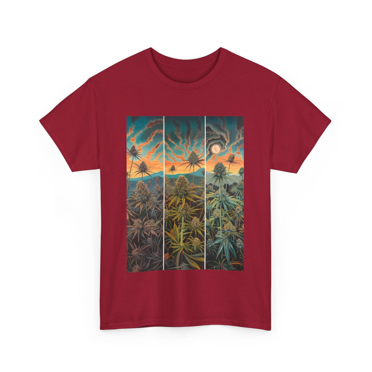 Field Series 10 - Image on Front