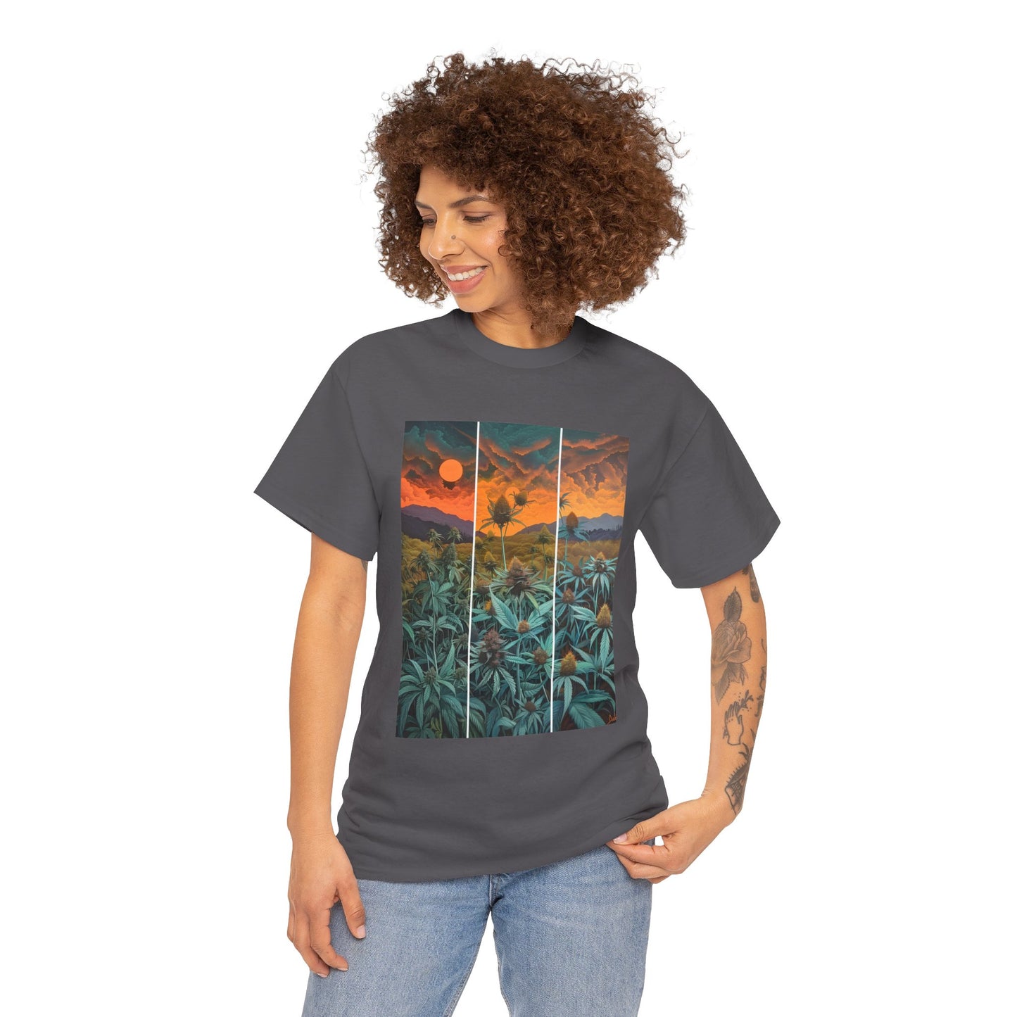 Field Series 11 - Image on Front