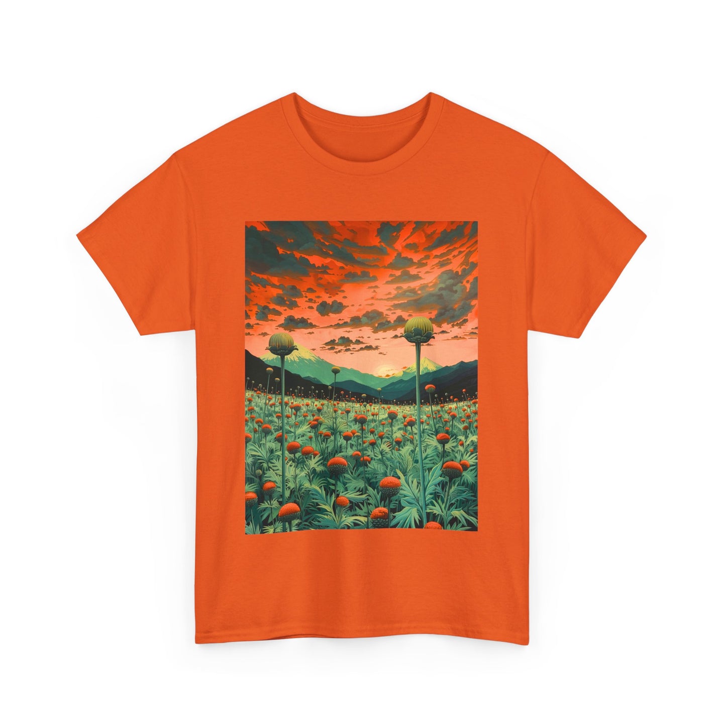 Field Series 01 - Image on Front