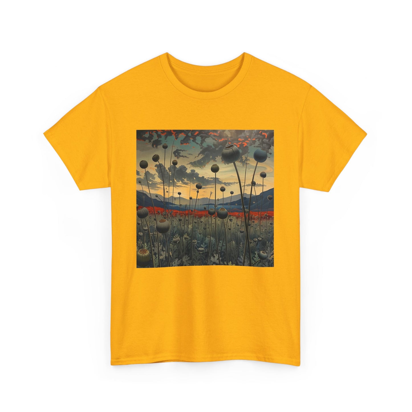 Field Series 06 - Image on Front
