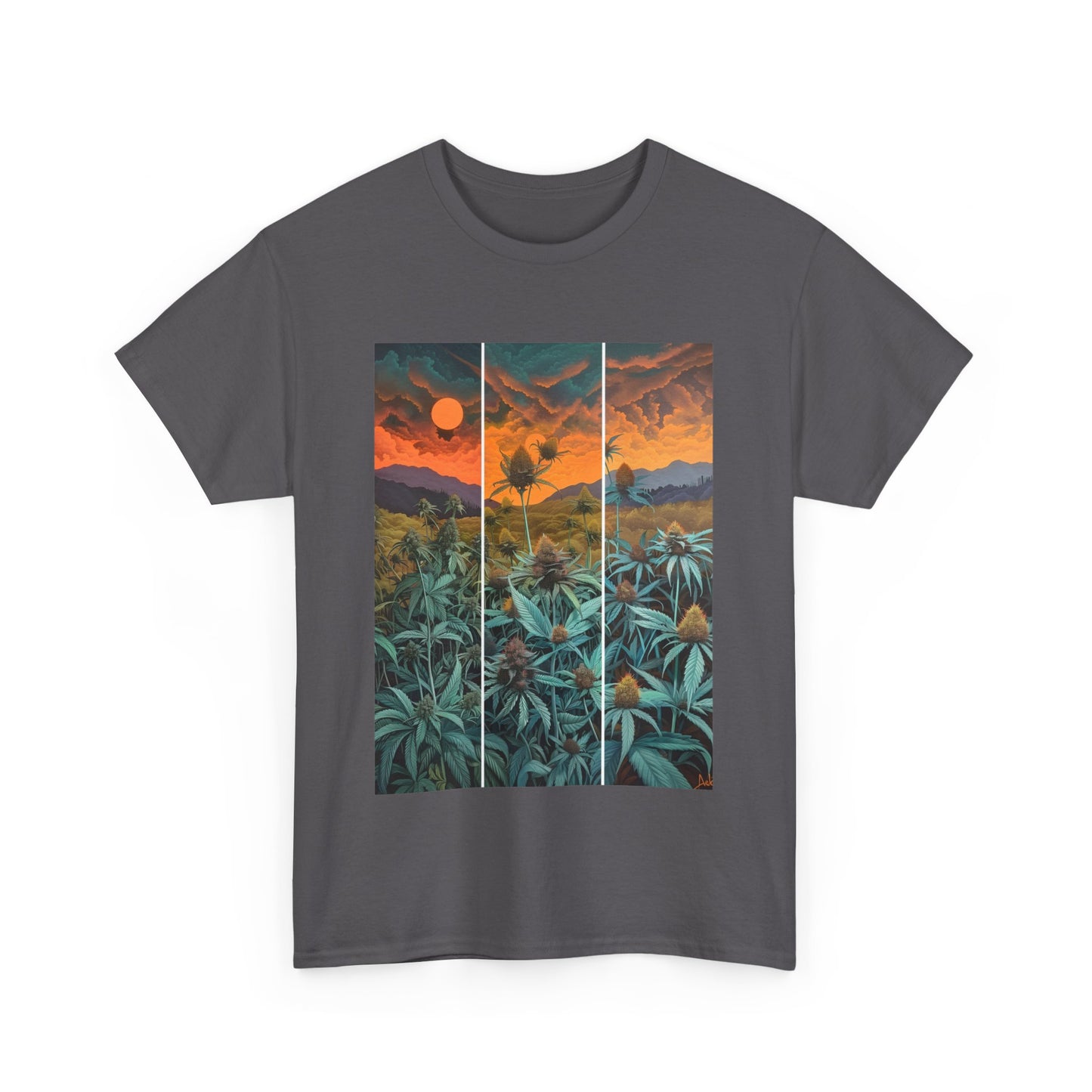 Field Series 11 - Image on Front