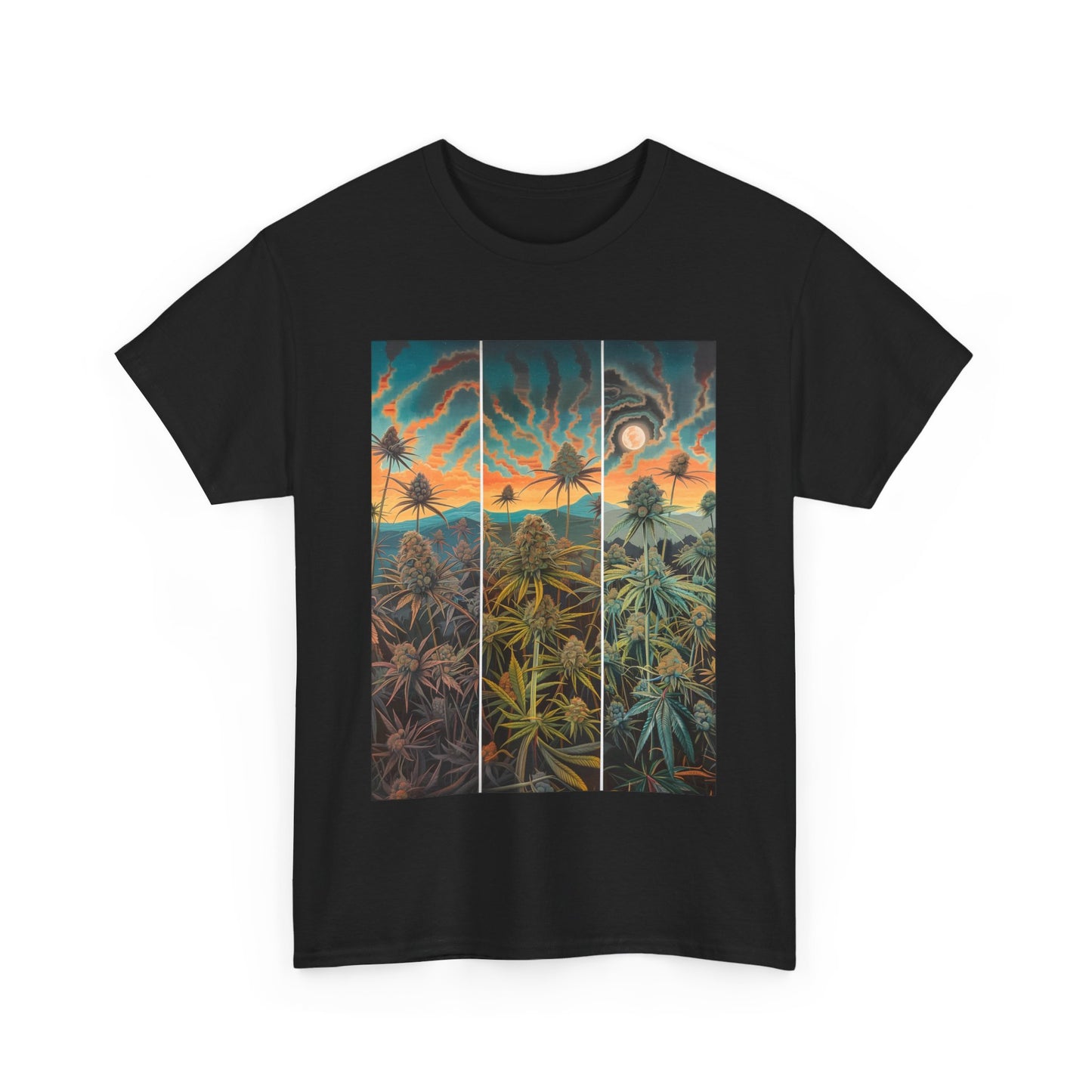Field Series 10 - Image on Front