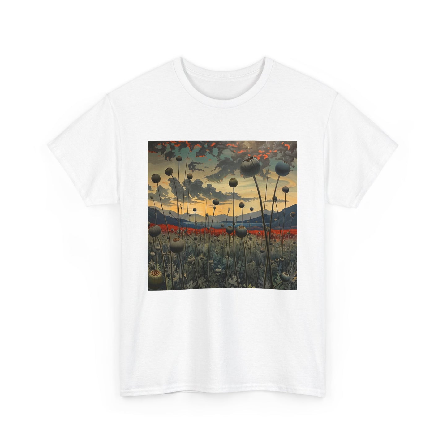 Field Series 06 - Image on Front