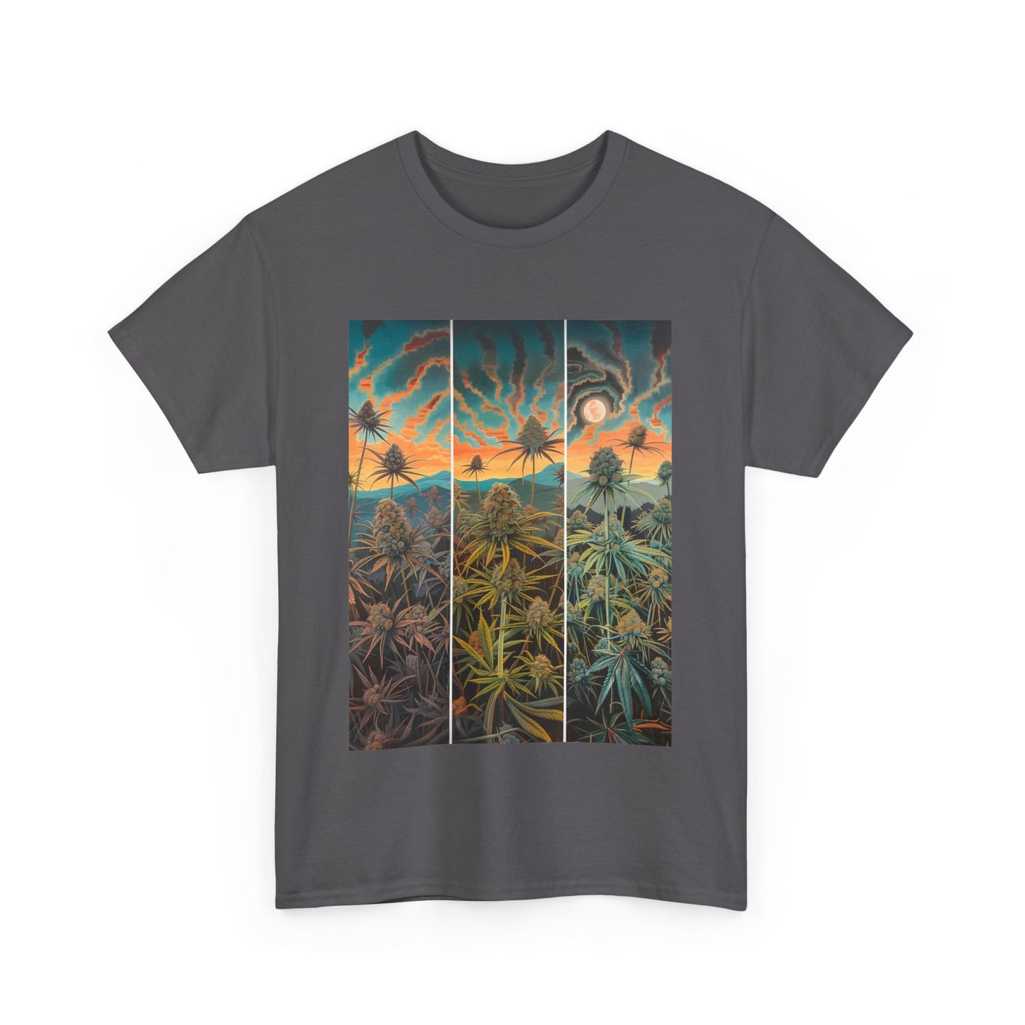 Field Series 10 - Image on Front