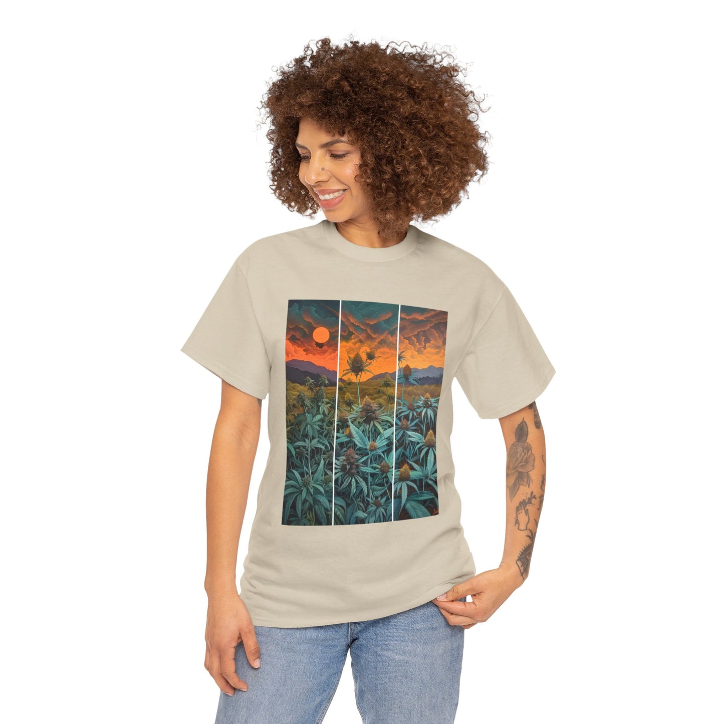 Field Series 11 - Image on Front