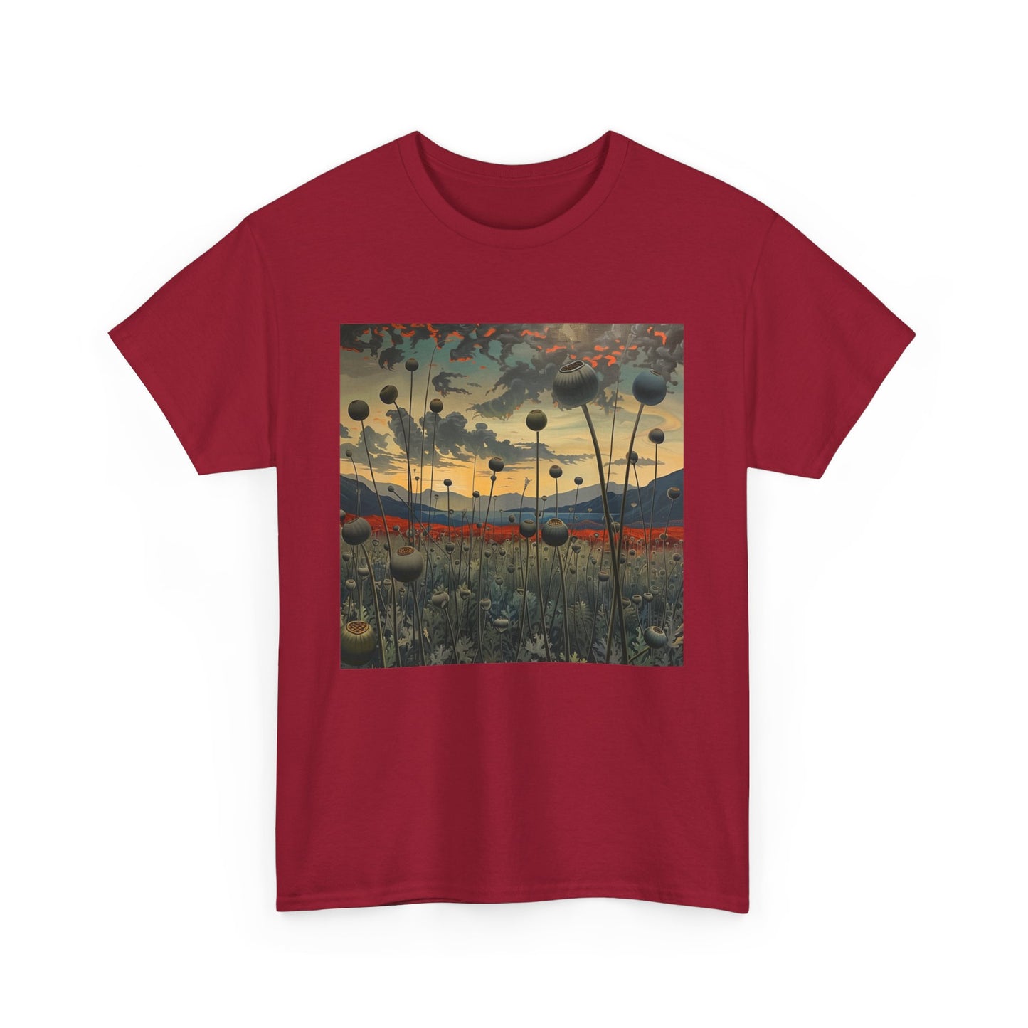 Field Series 06 - Image on Front