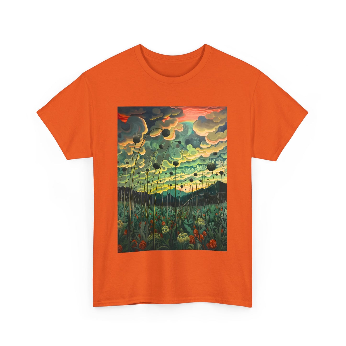 Field Series 04 - Image on Front