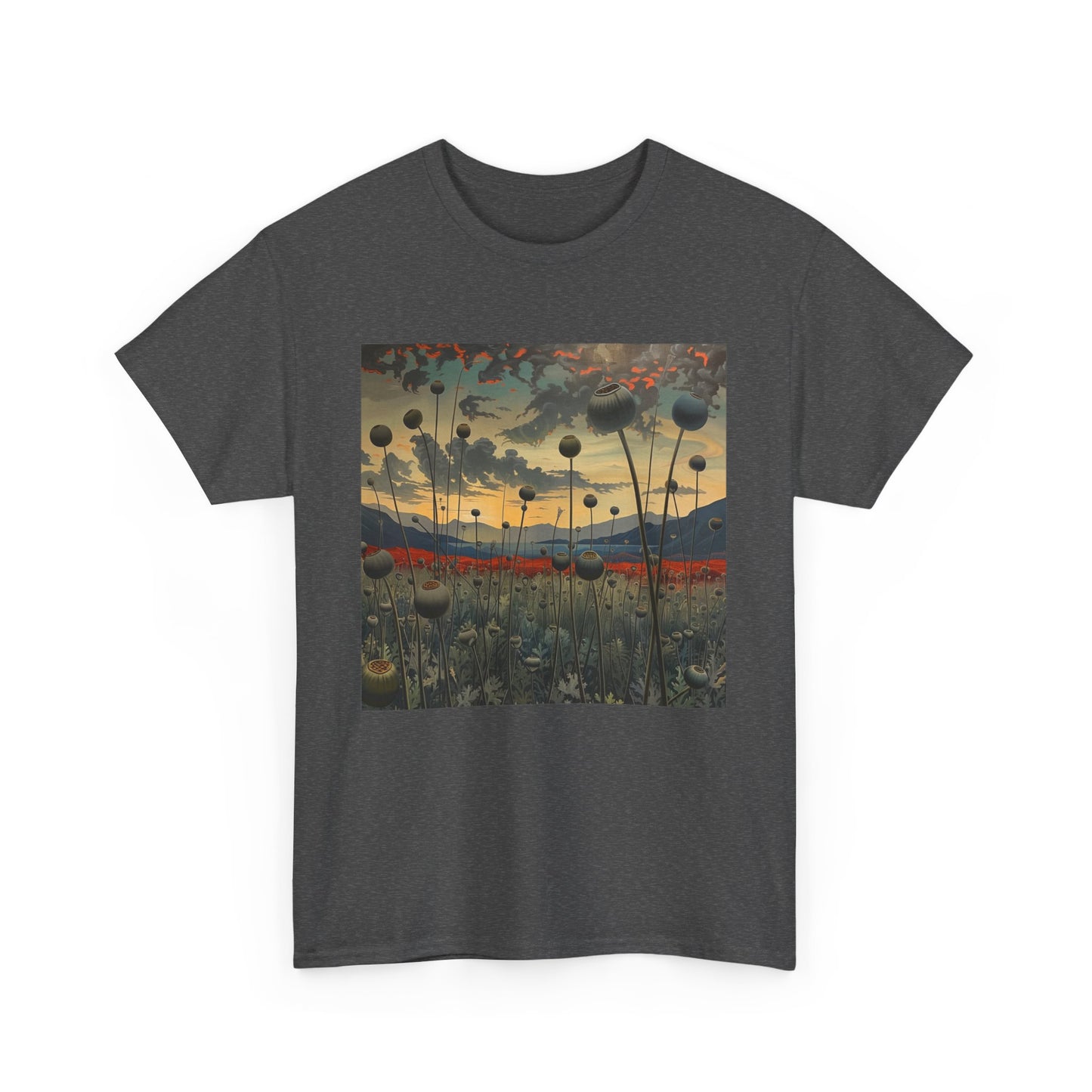 Field Series 06 - Image on Front