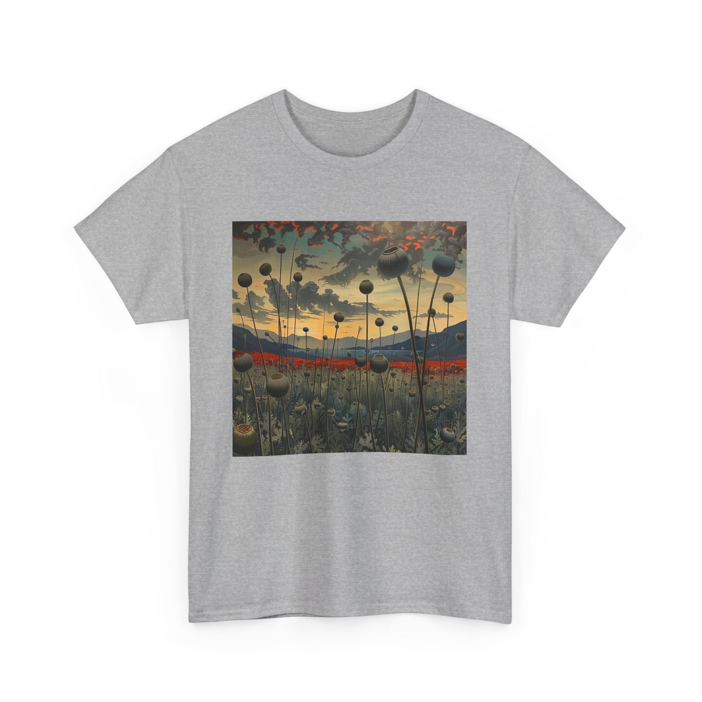 Field Series 06 - Image on Front
