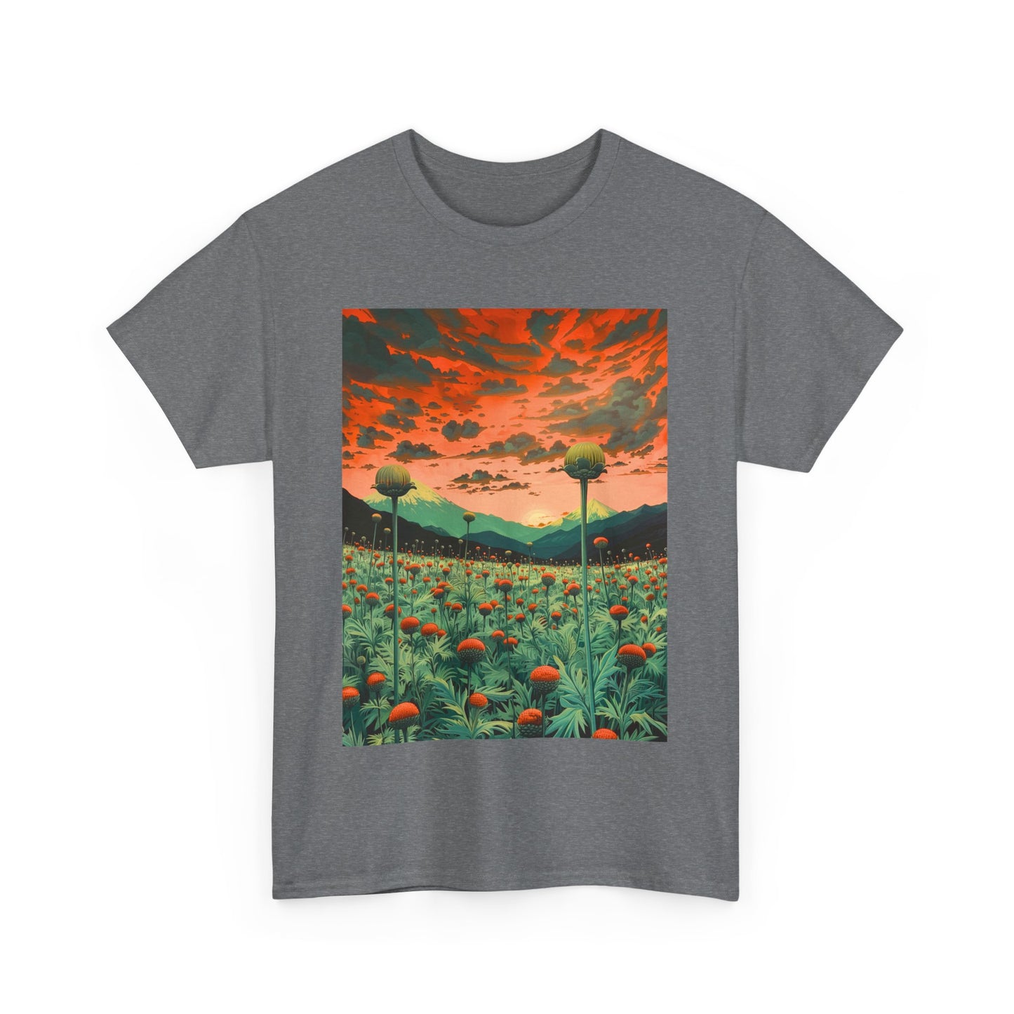 Field Series 01 - Image on Front
