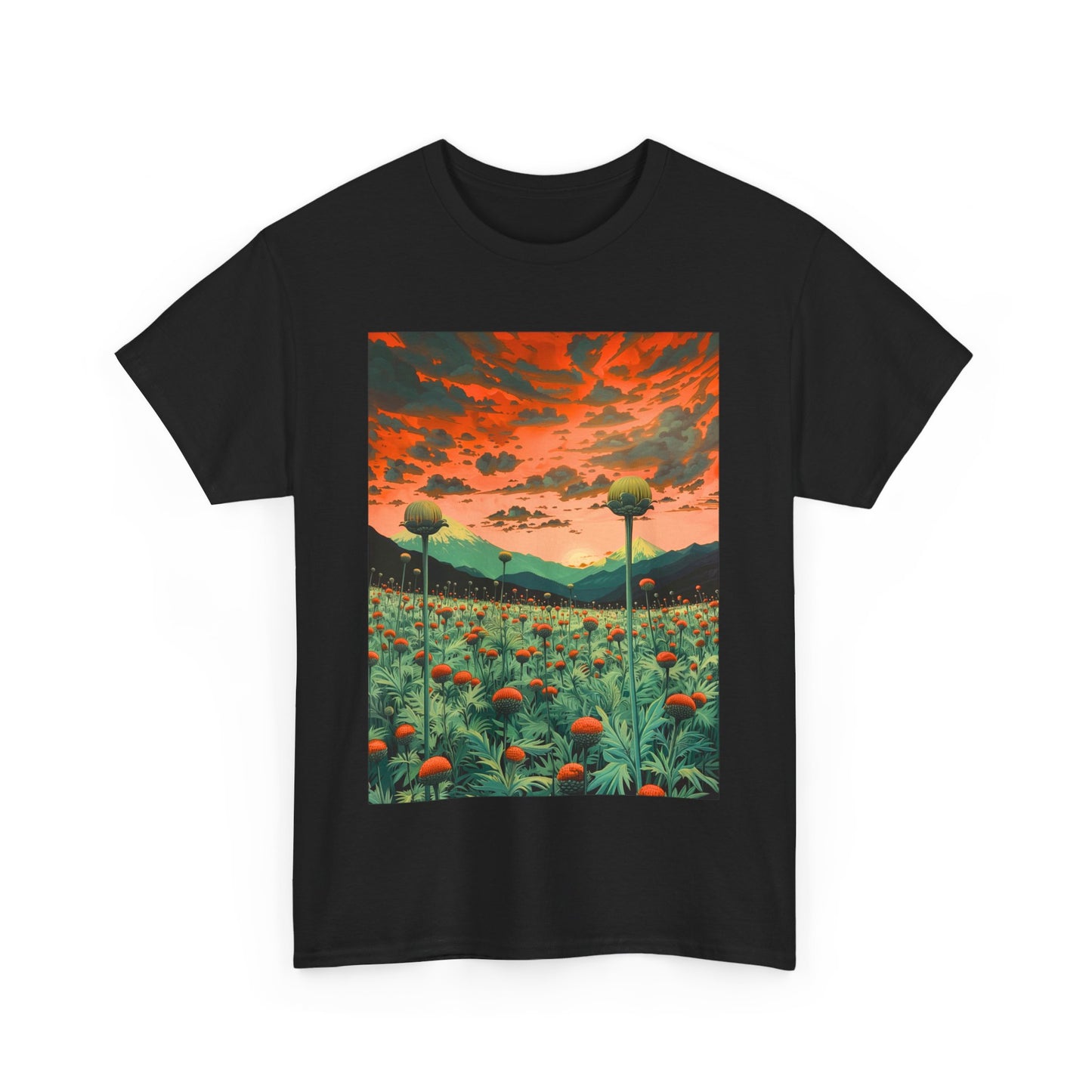Field Series 01 - Image on Front