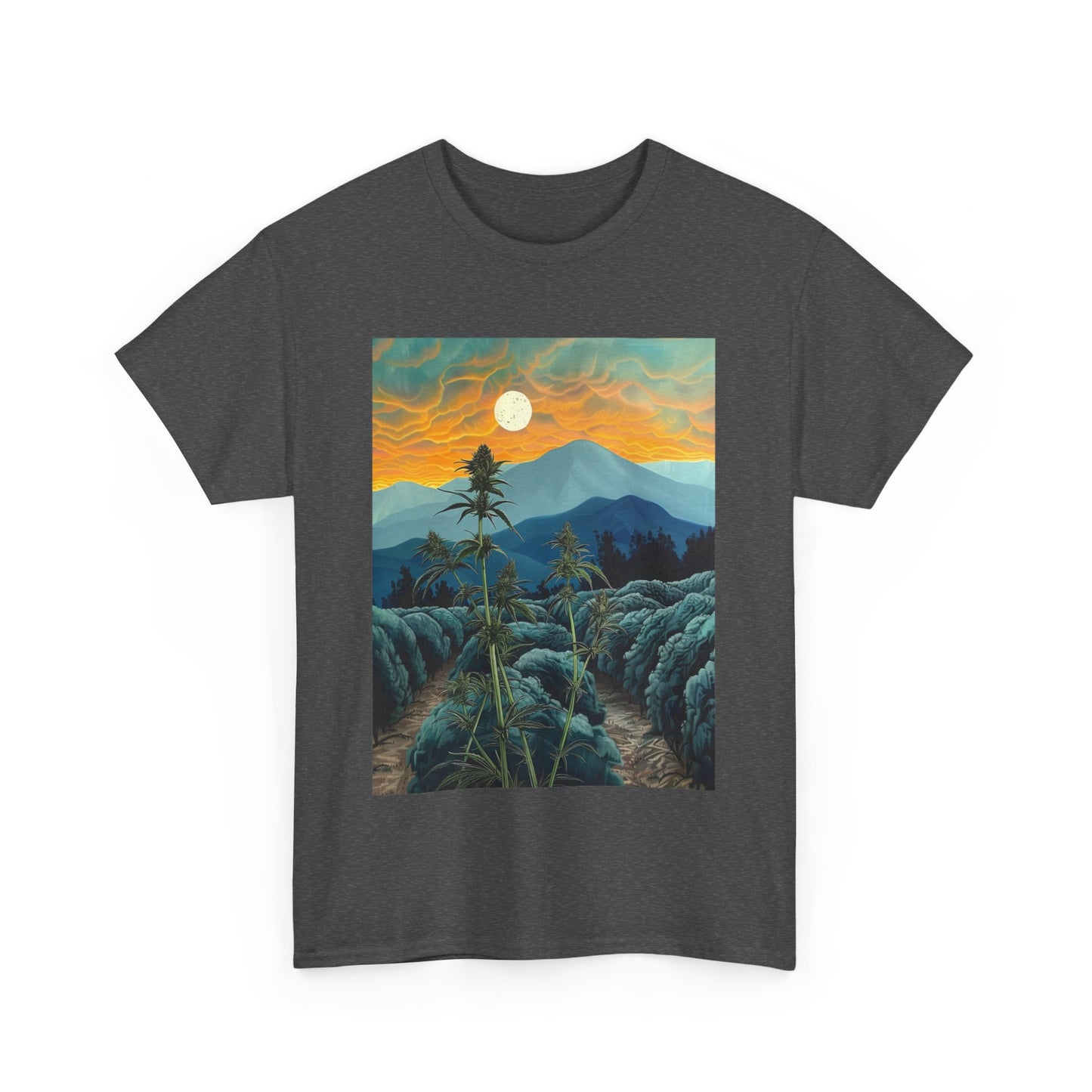 Field Series 09 - Image on Front