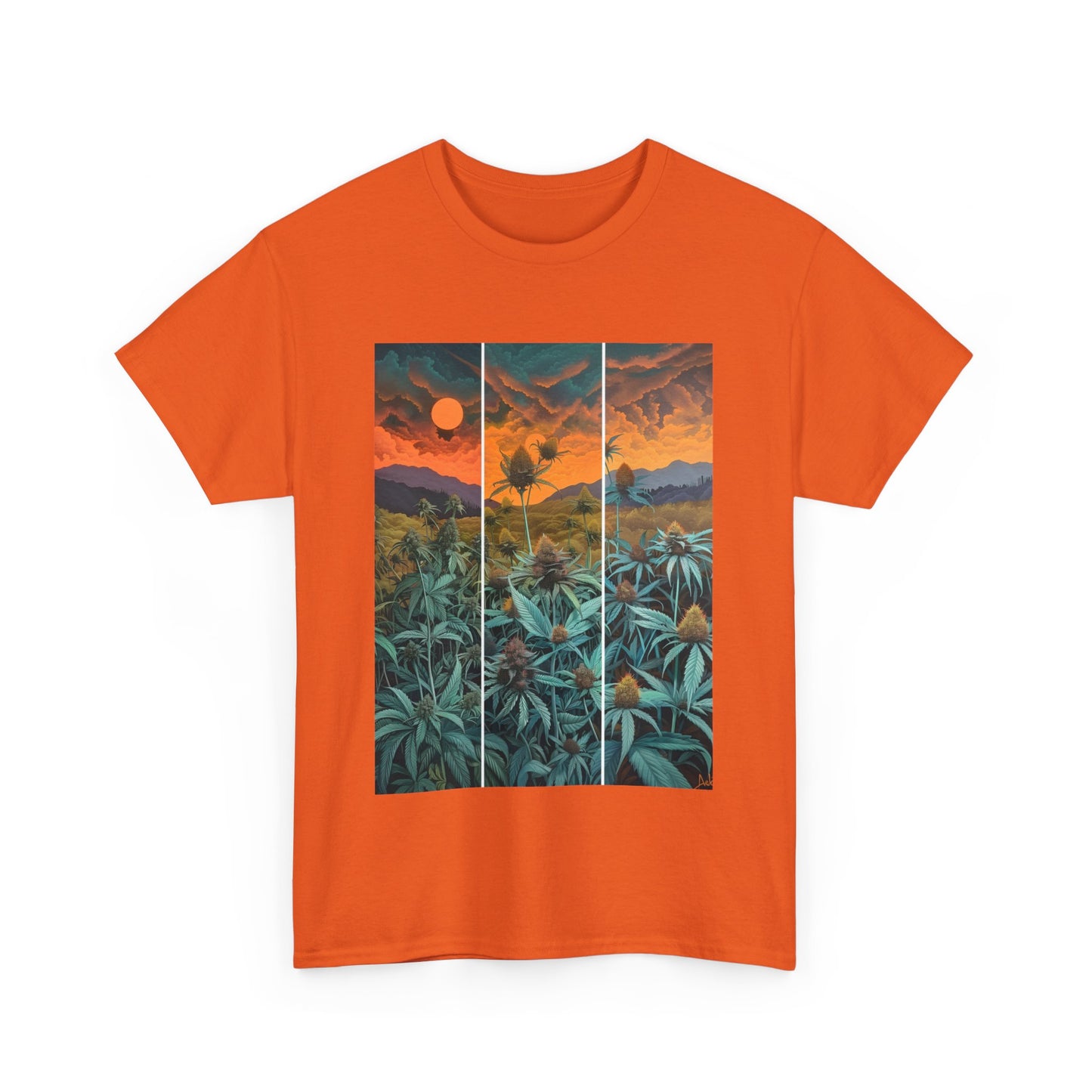 Field Series 11 - Image on Front