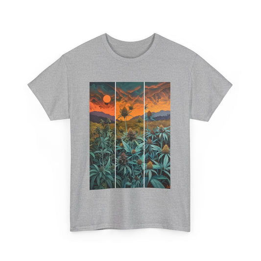 Field Series 11 - Image on Front