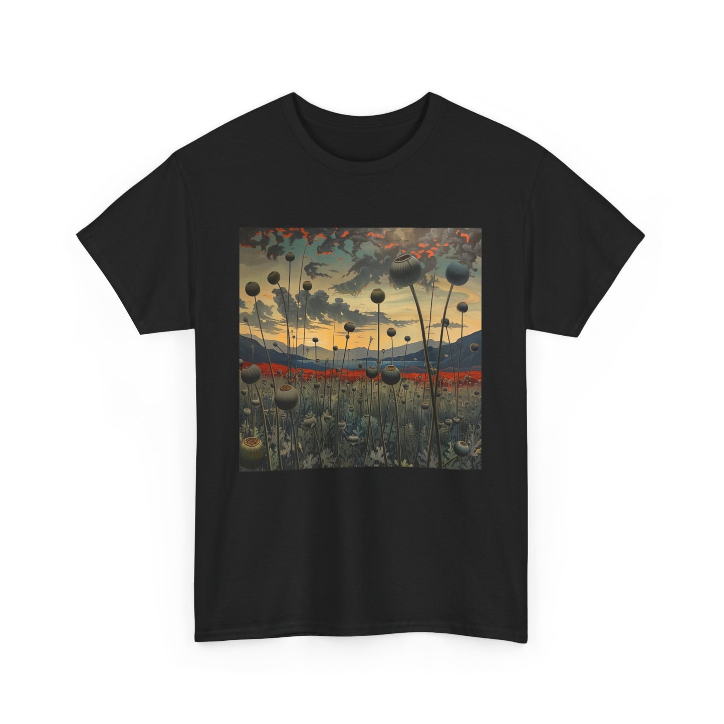 Field Series 06 - Image on Front