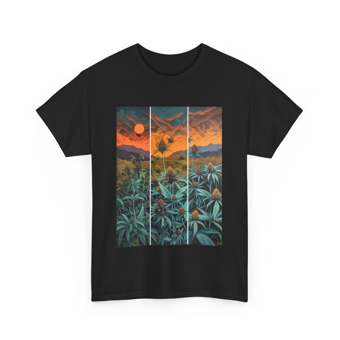 Field Series 11 - Image on Front
