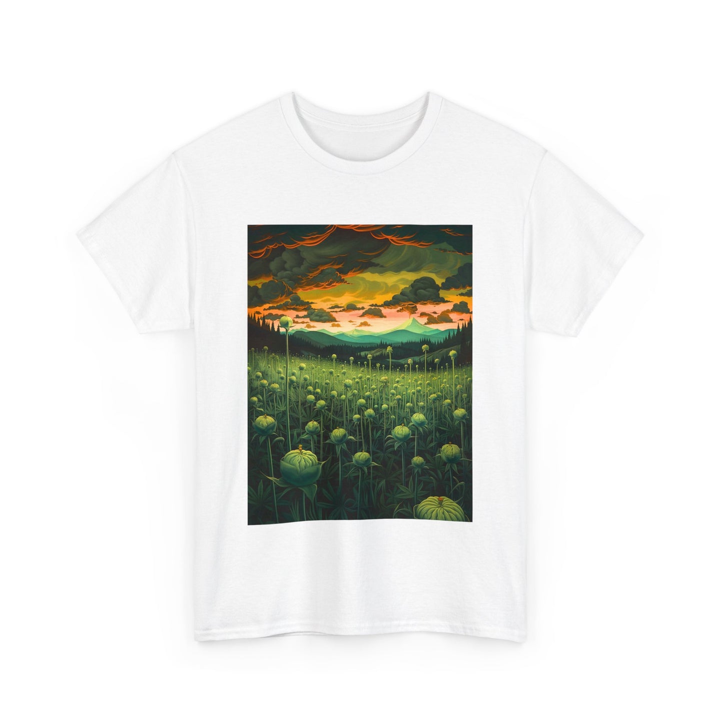 Field Series 07 - Image on Front