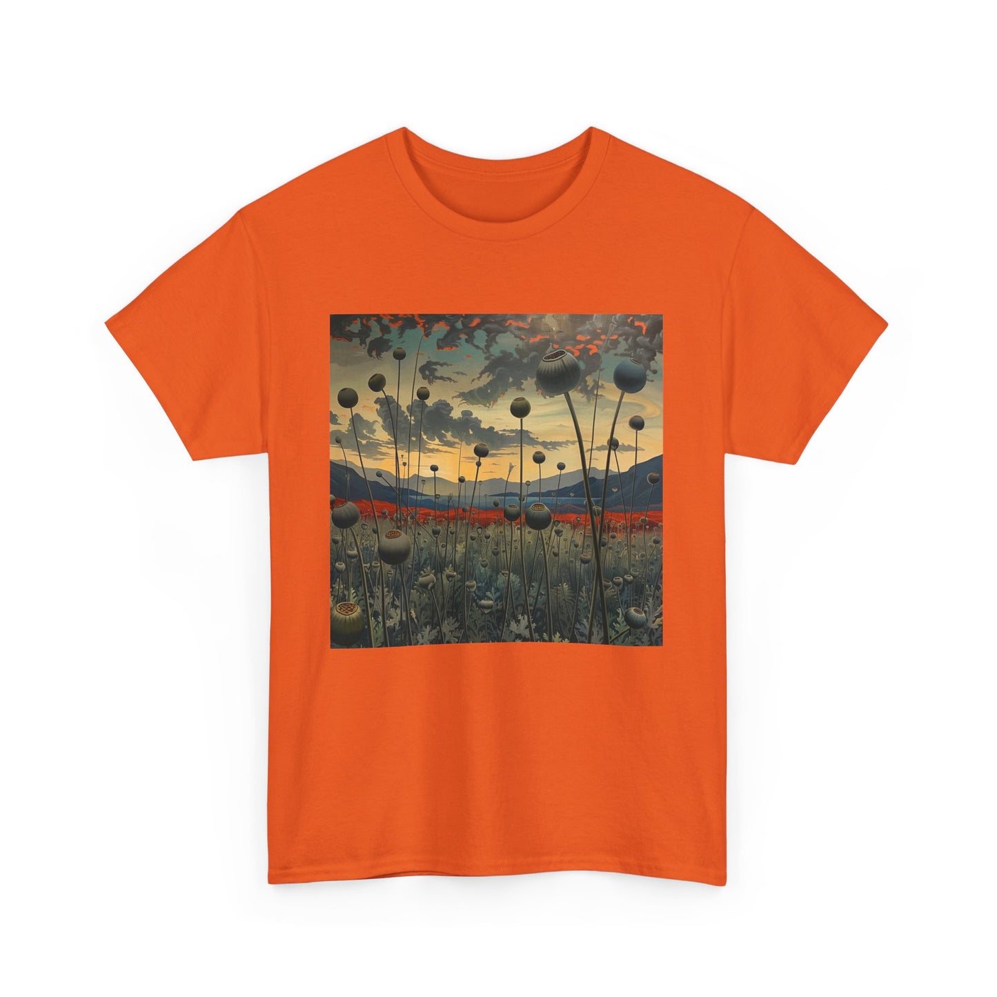 Field Series 06 - Image on Front