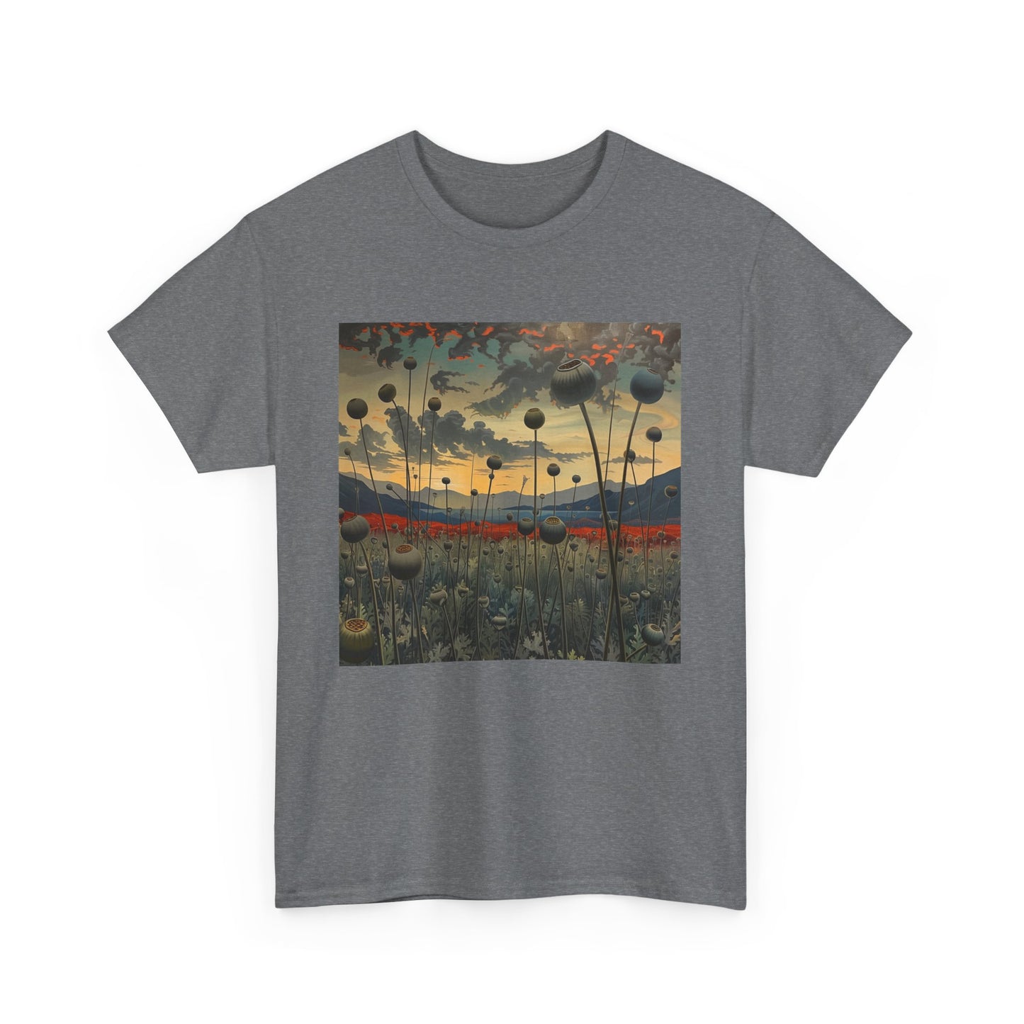 Field Series 06 - Image on Front