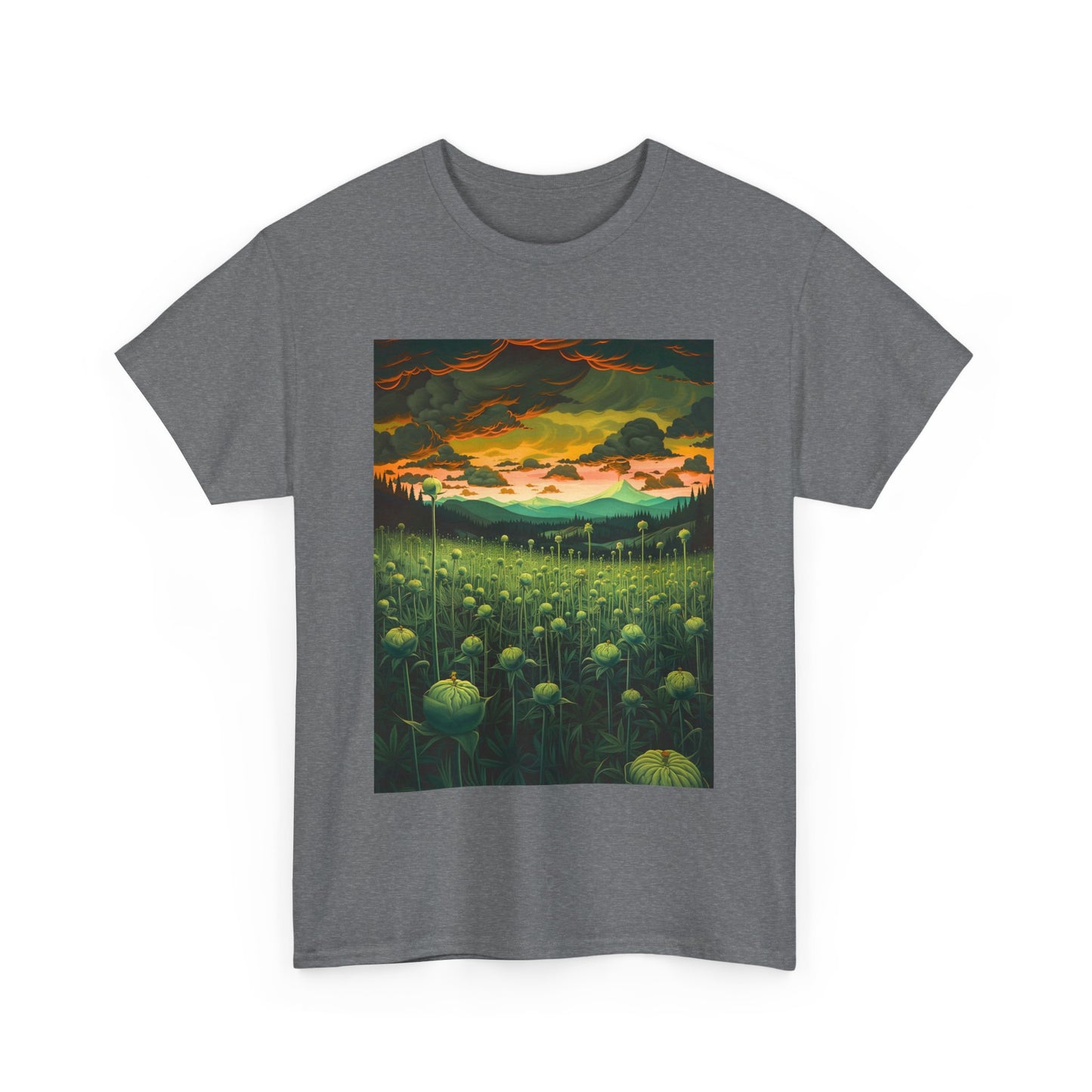 Field Series 07 - Image on Front